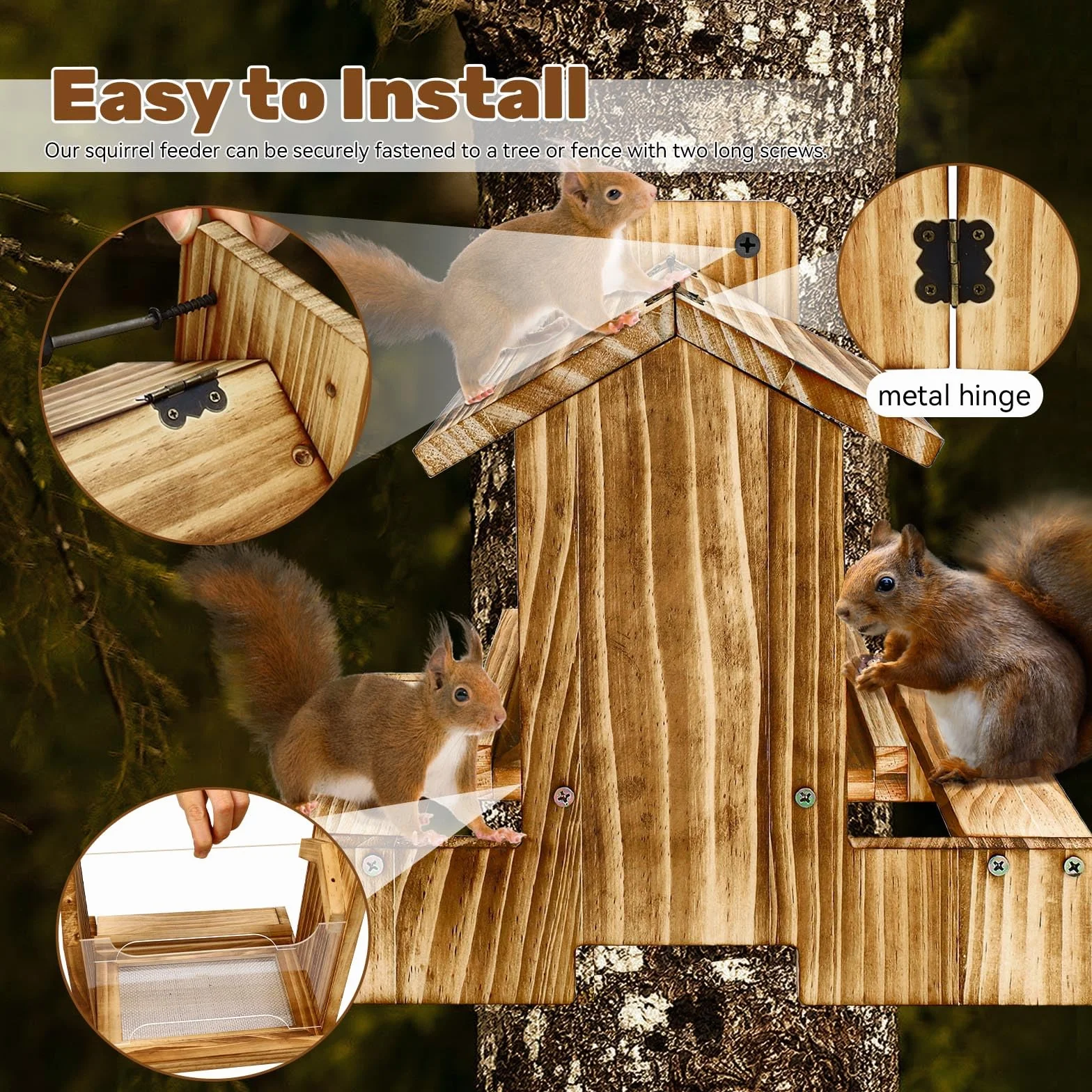 Mangeoire en bois pour écureuil extérieur - Mangeoire pour écureuils et tamias
