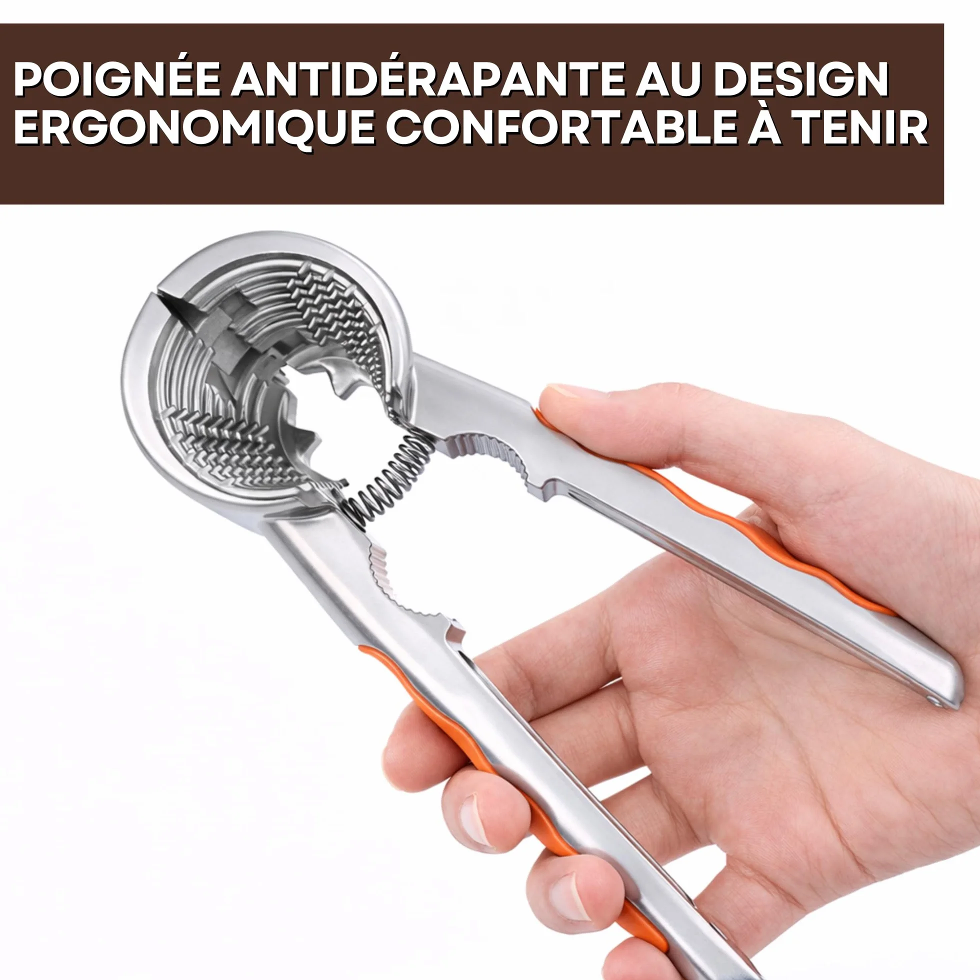 Pince Casse Noix et Noisettes Professionnel Acier | Casse Amandes | Ouvre Noix Puissant