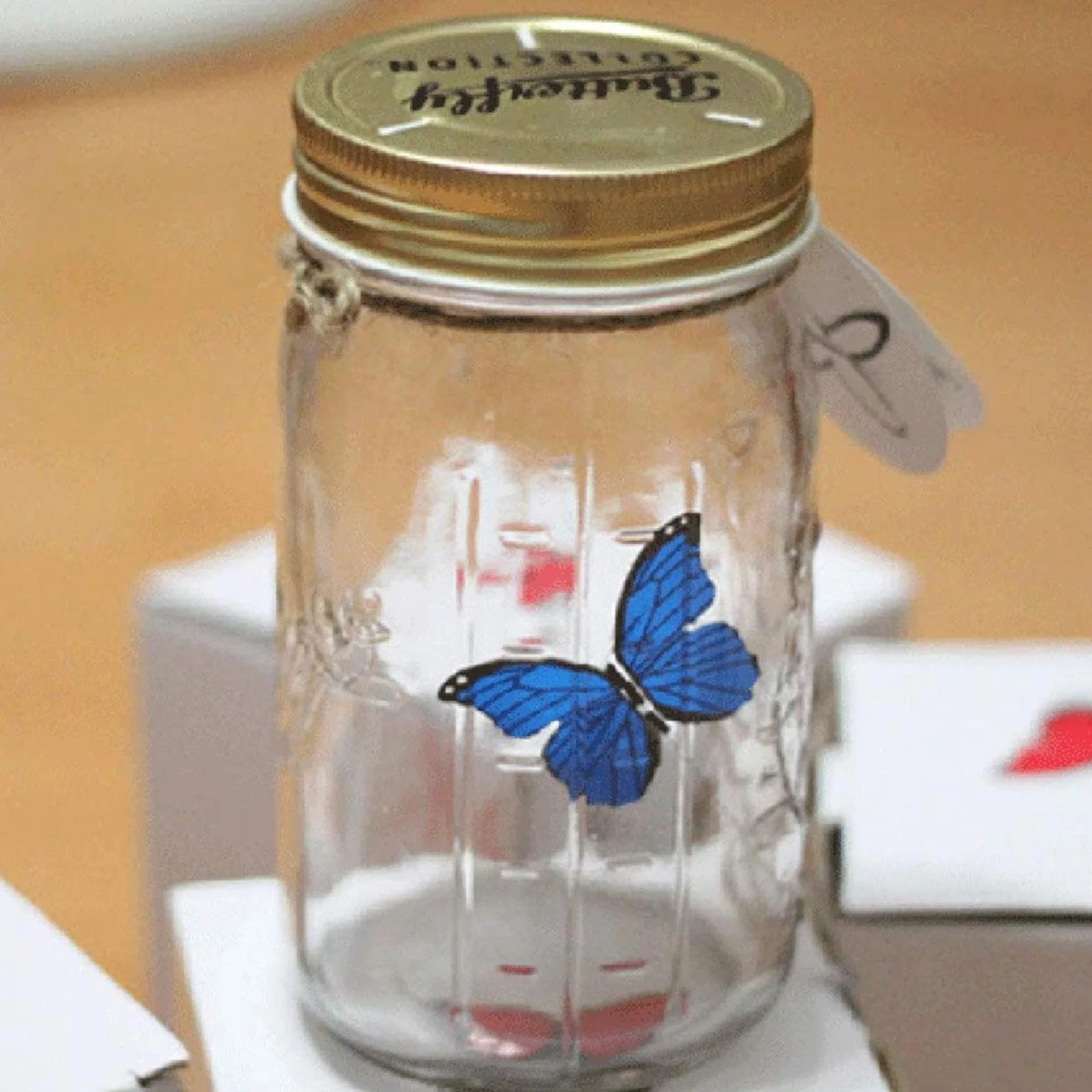 Pot de collection de papillons - Conteneur d'affichage d'insectes avec papillon animé à piles