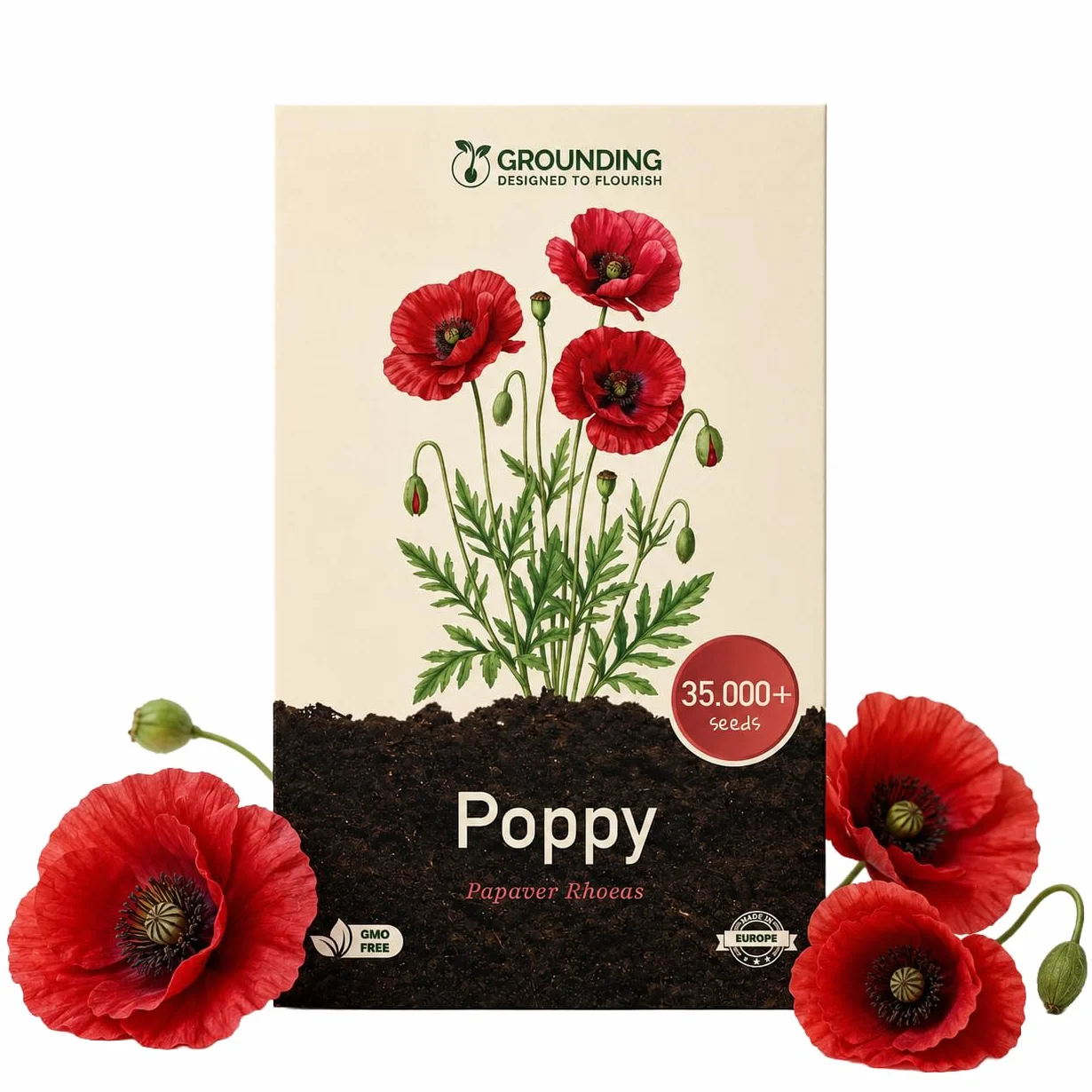 Graines de Coquelicot Rouge Flanders Papaver rhoeas 35000 graines Tapis de fleurs rouges hauteur 50-60 cm
