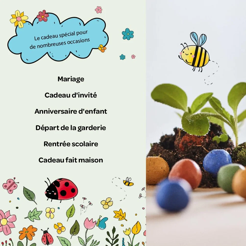 Bombes à graines colorées faites main 25 pièces 20 variétés de fleurs