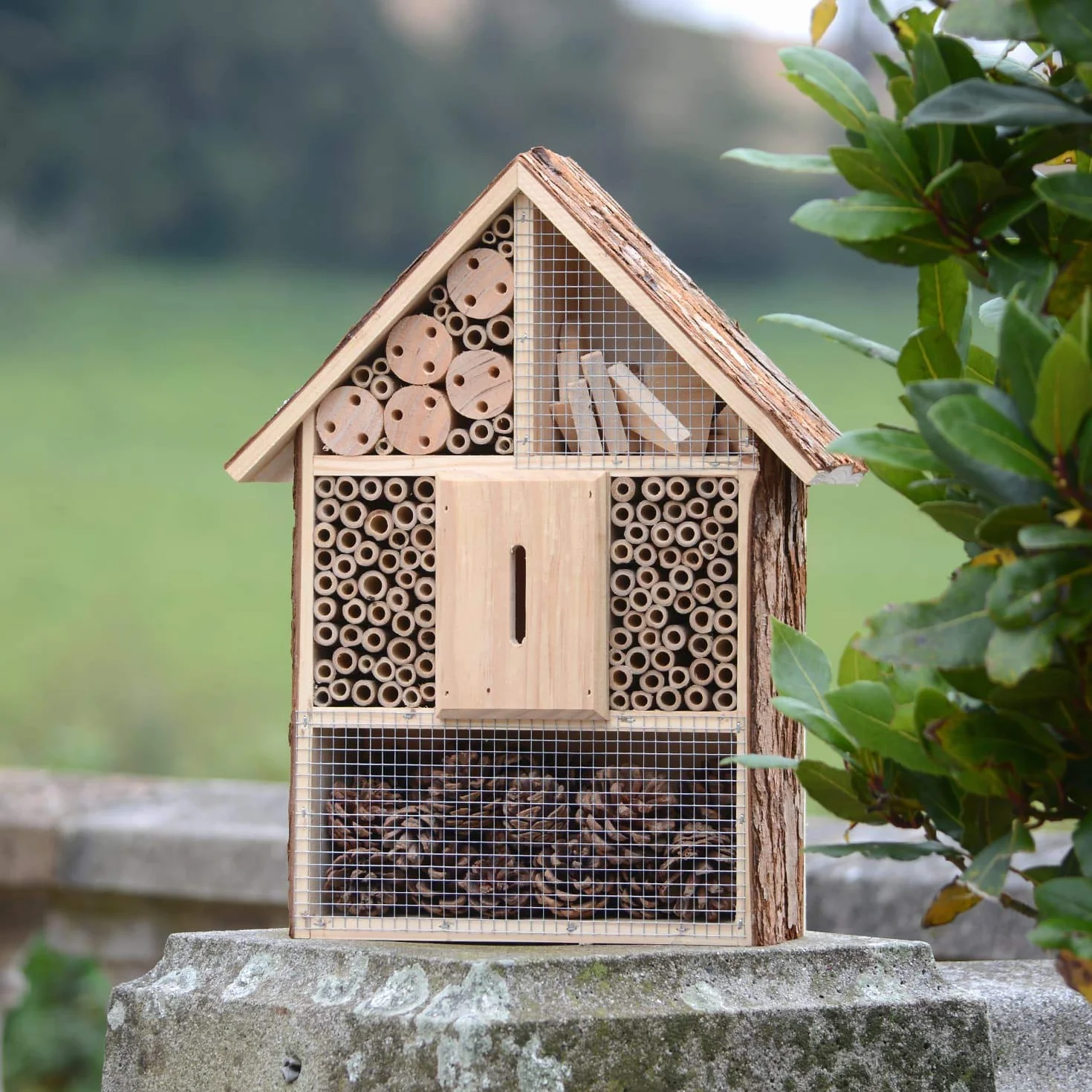 CKB LTD Grand hôtel en bois naturel pour abeilles, coccinelles, papillons, abri extérieur en bois nid de jardin - 30 x 10 x 39 cm