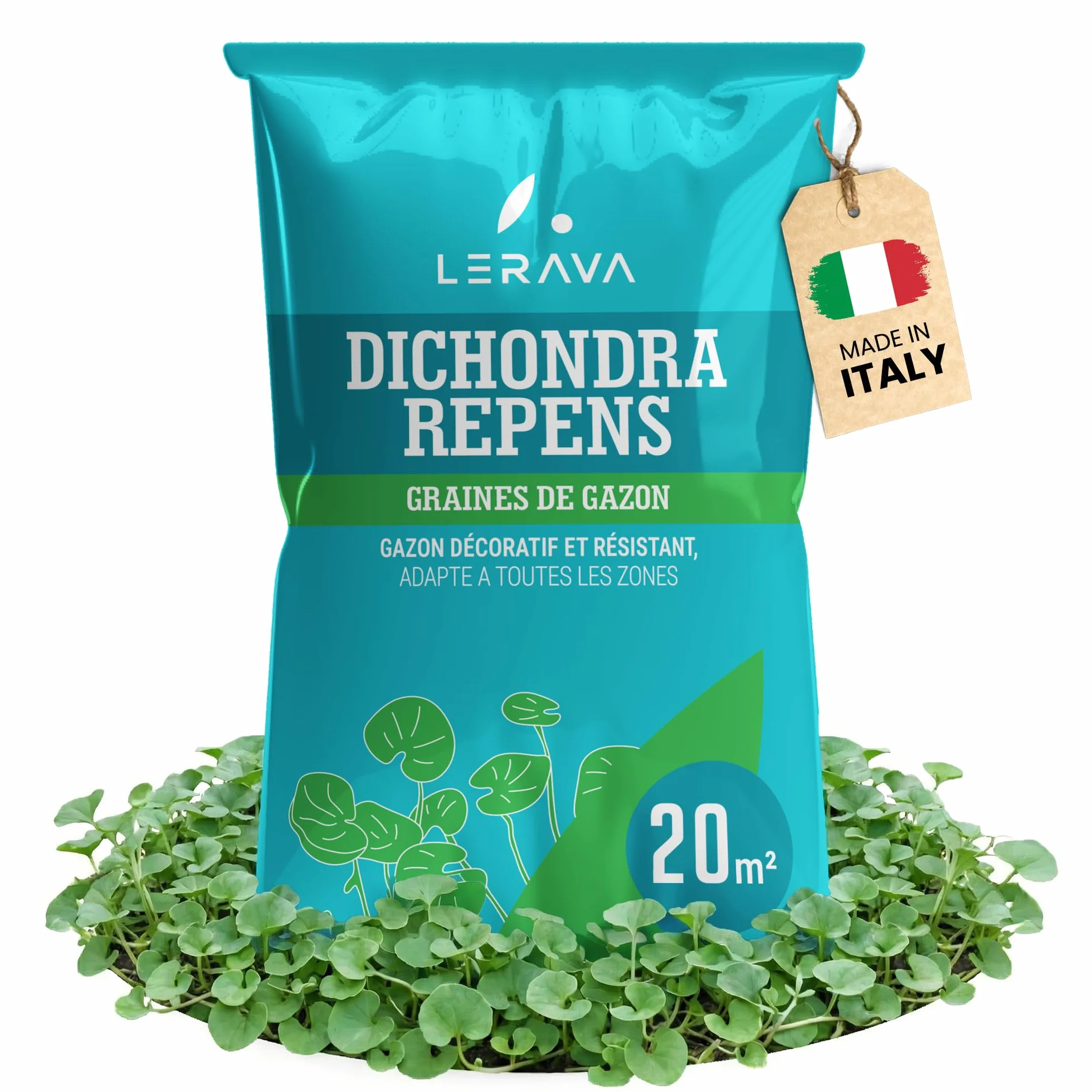 Dichondra repens gazon semer 20m² 200g résistance sécheresse zones ombragées ensoleillées micro trèfle