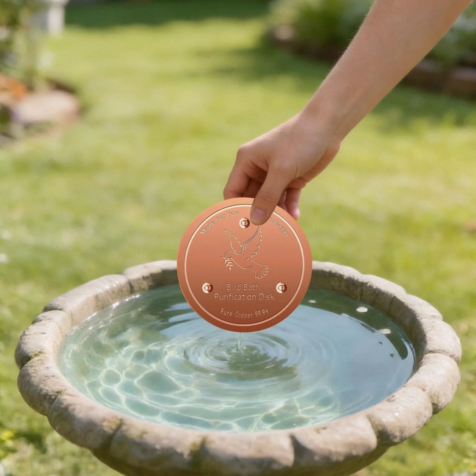 Lot de 2 disques de purification en cuivre pour bain d'oiseaux avec support à trois points