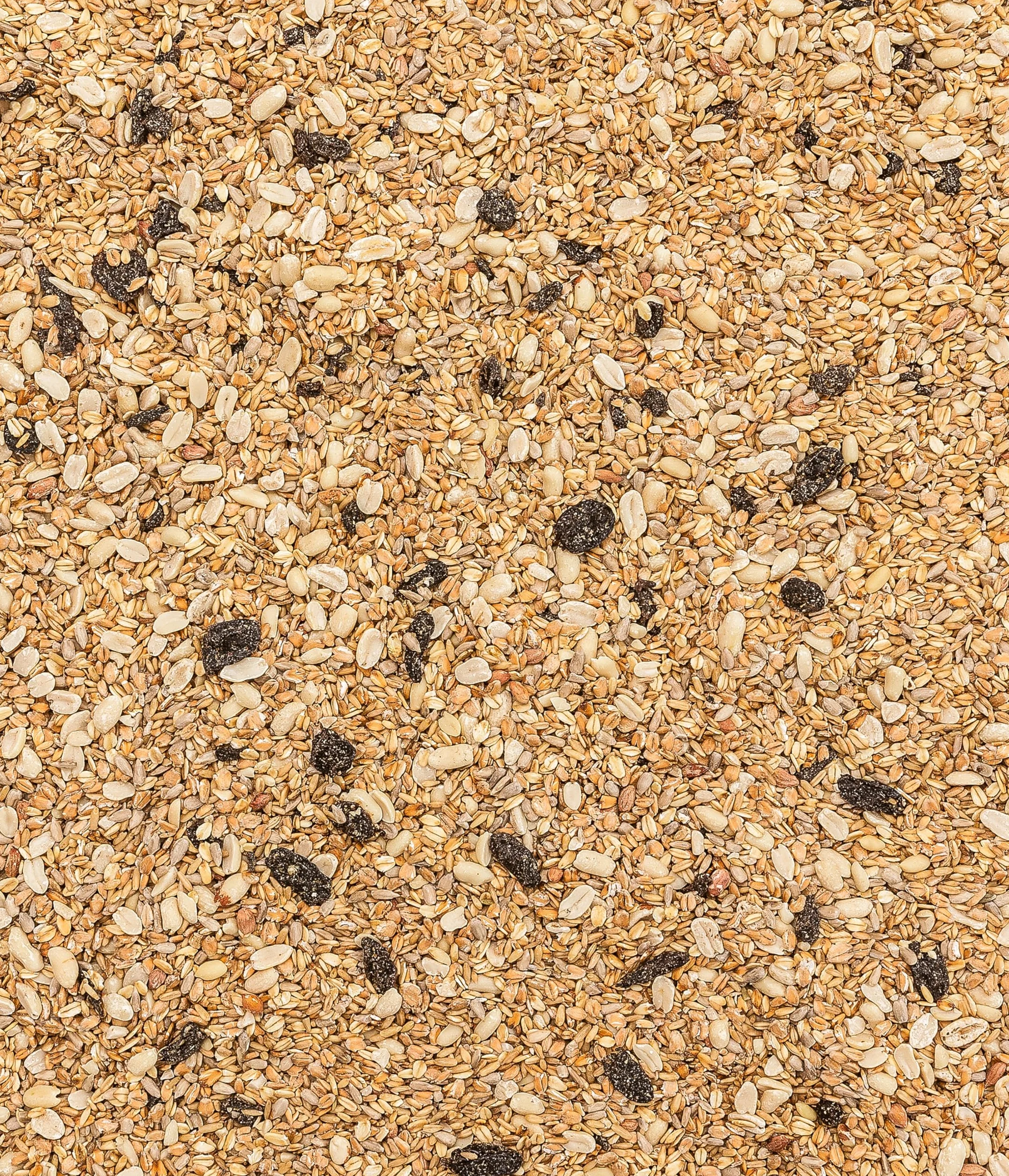 Dehner Natura Premium Nourriture pour Oiseaux Sauvages, mélange de graines sans coquilles, 3,6 kg