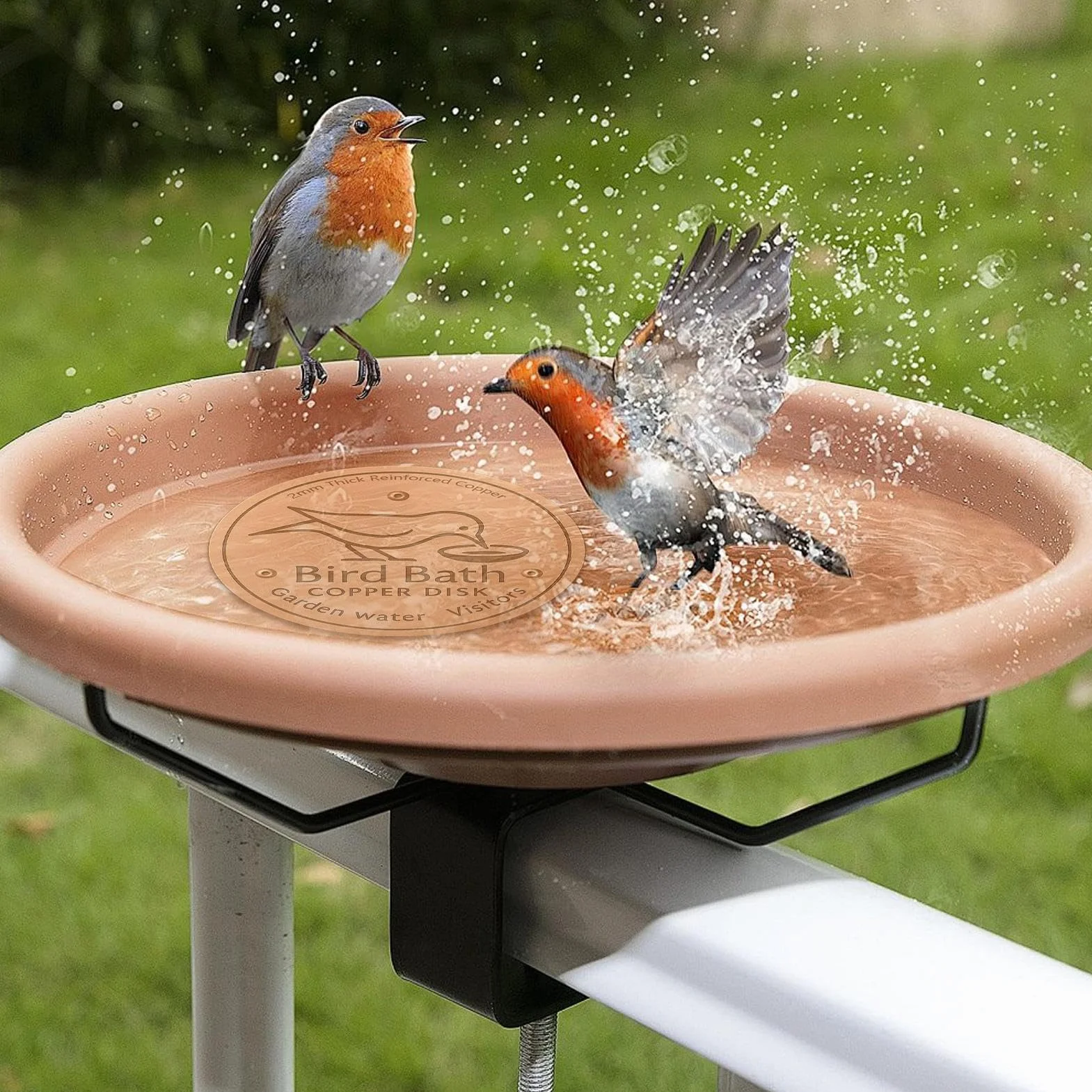 Disque en Cuivre pour Bain d'Oiseaux avec Support à Trois Points, Base Antidérapante