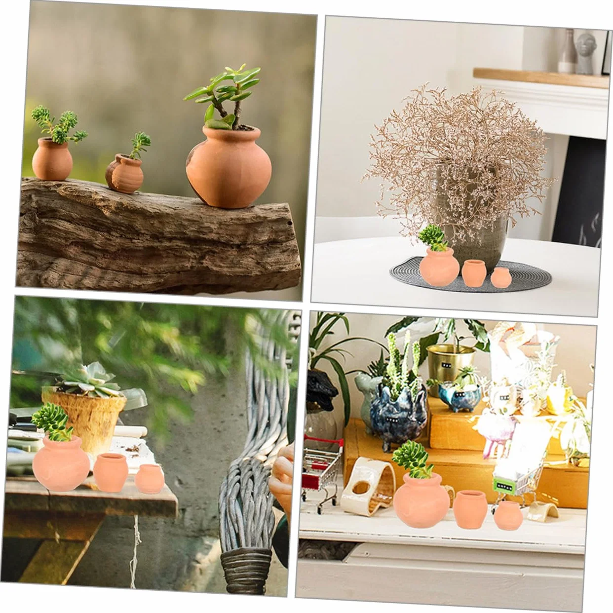 Lot de 12 Mini Pots pour Plantes Succulentes Intérieur Extérieur