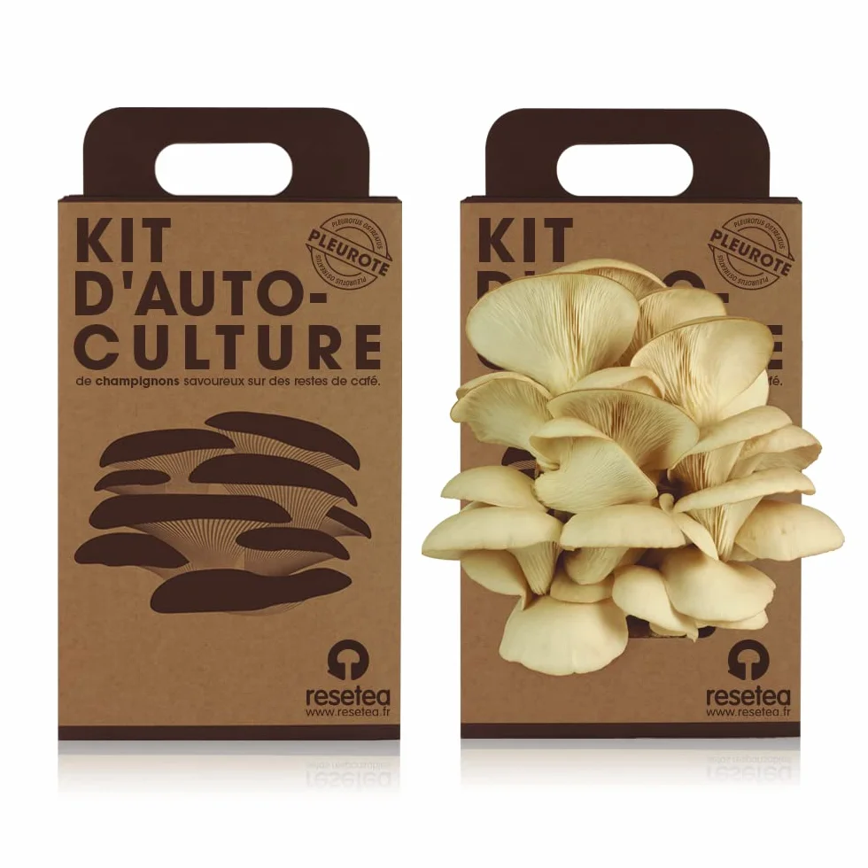 Kit de Culture de Champignons Pleurotes à la Maison | Champignon Gourmet en 15 Jours | Cultive Facilement pour Foodies, Chefs et Amateurs de Cuisine | Cadeau Original | Resetea
