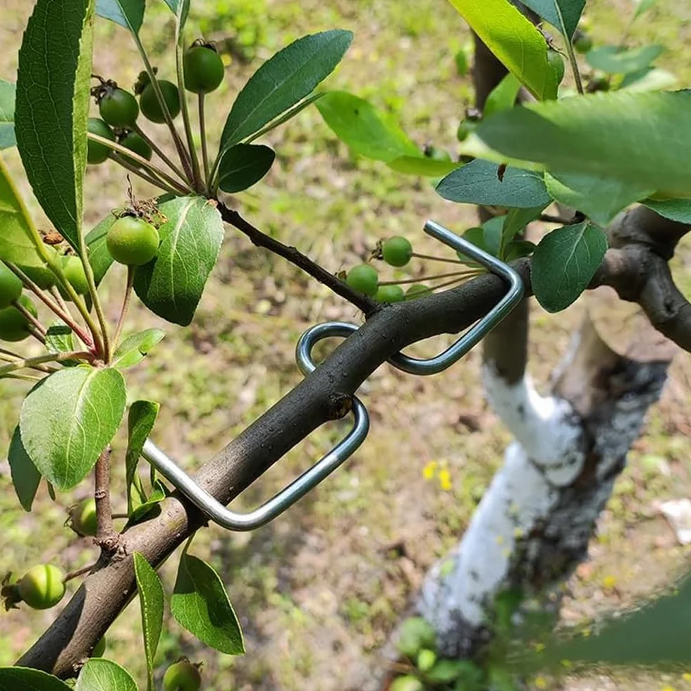 Épandeur de Branches d'Arbre en Forme de M, 25 PCS, Support Arrache-Branches pour Branches Fruitières