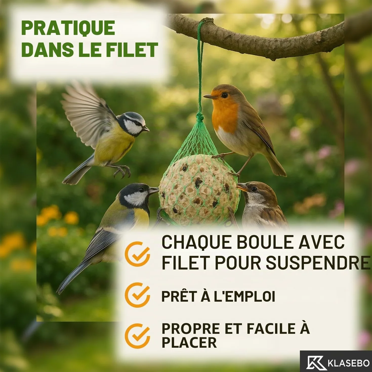 KLASEBO Boules de Graisse Oiseaux avec Insectes 100 x 90 g