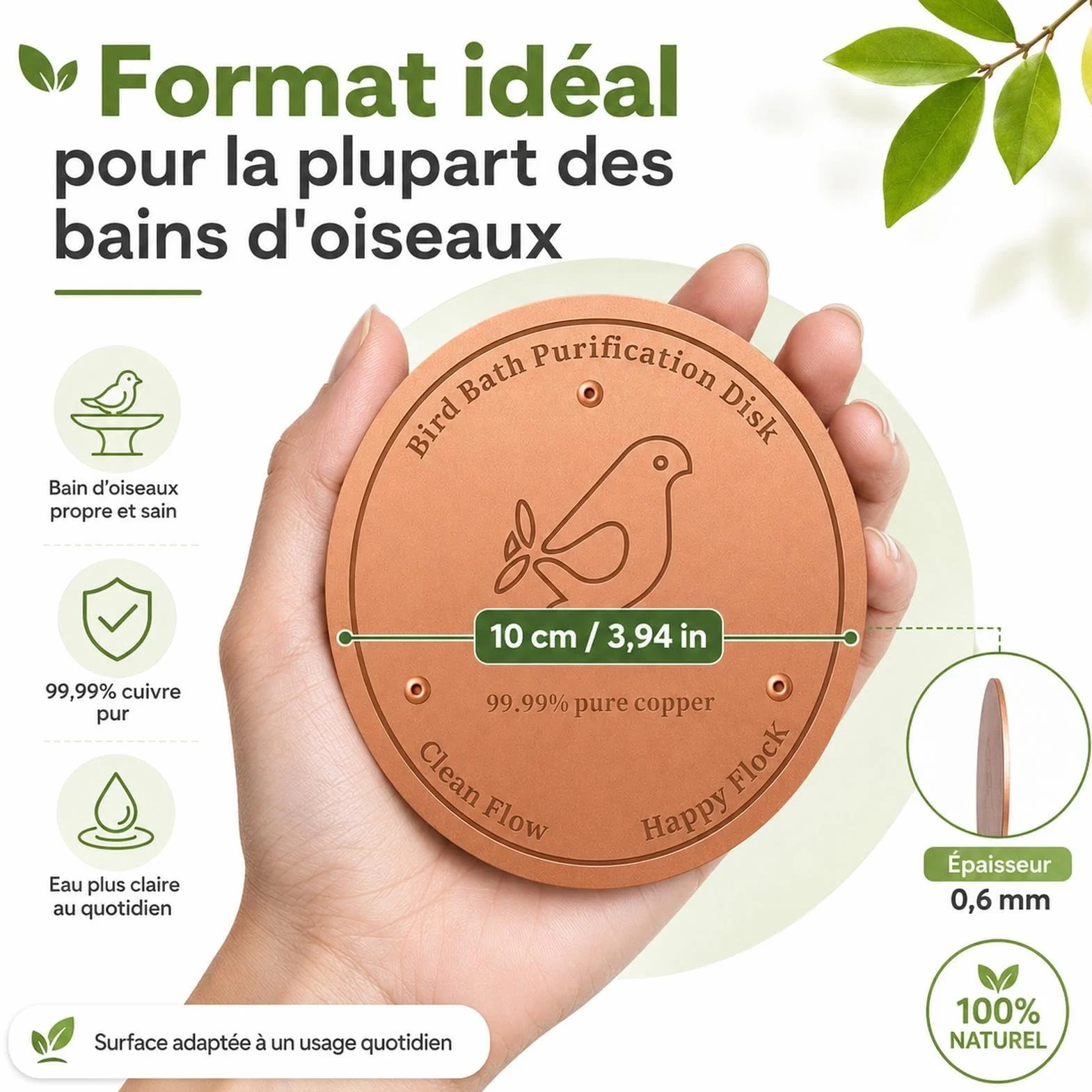 Disque de Nettoyage en Cuivre pour Bain d'Oiseaux avec Support Triple Point