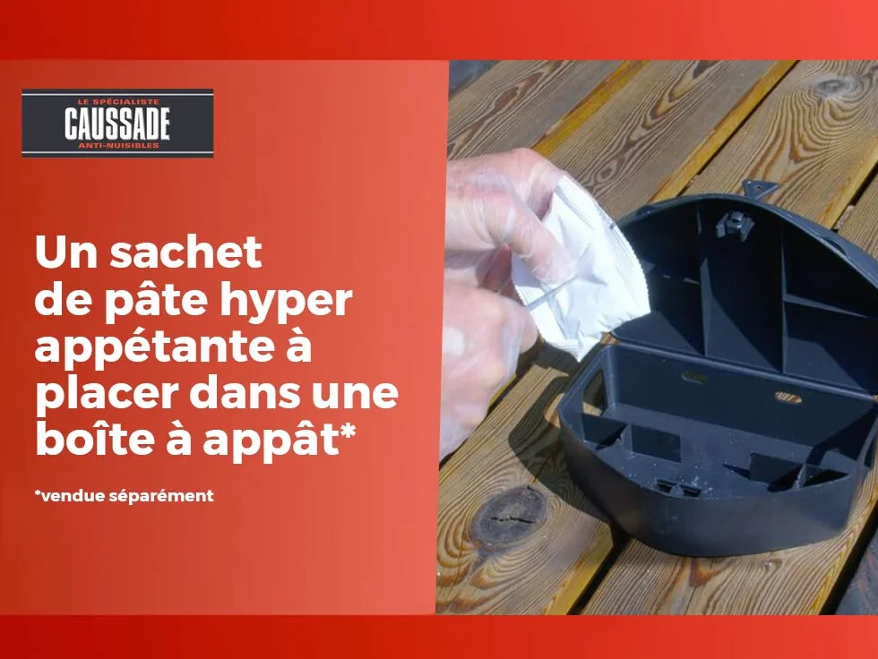 CAUSSADE Anti Rats & Souris 10 Sachets Pâtes Fluorescents 150g Fabriqué en France
