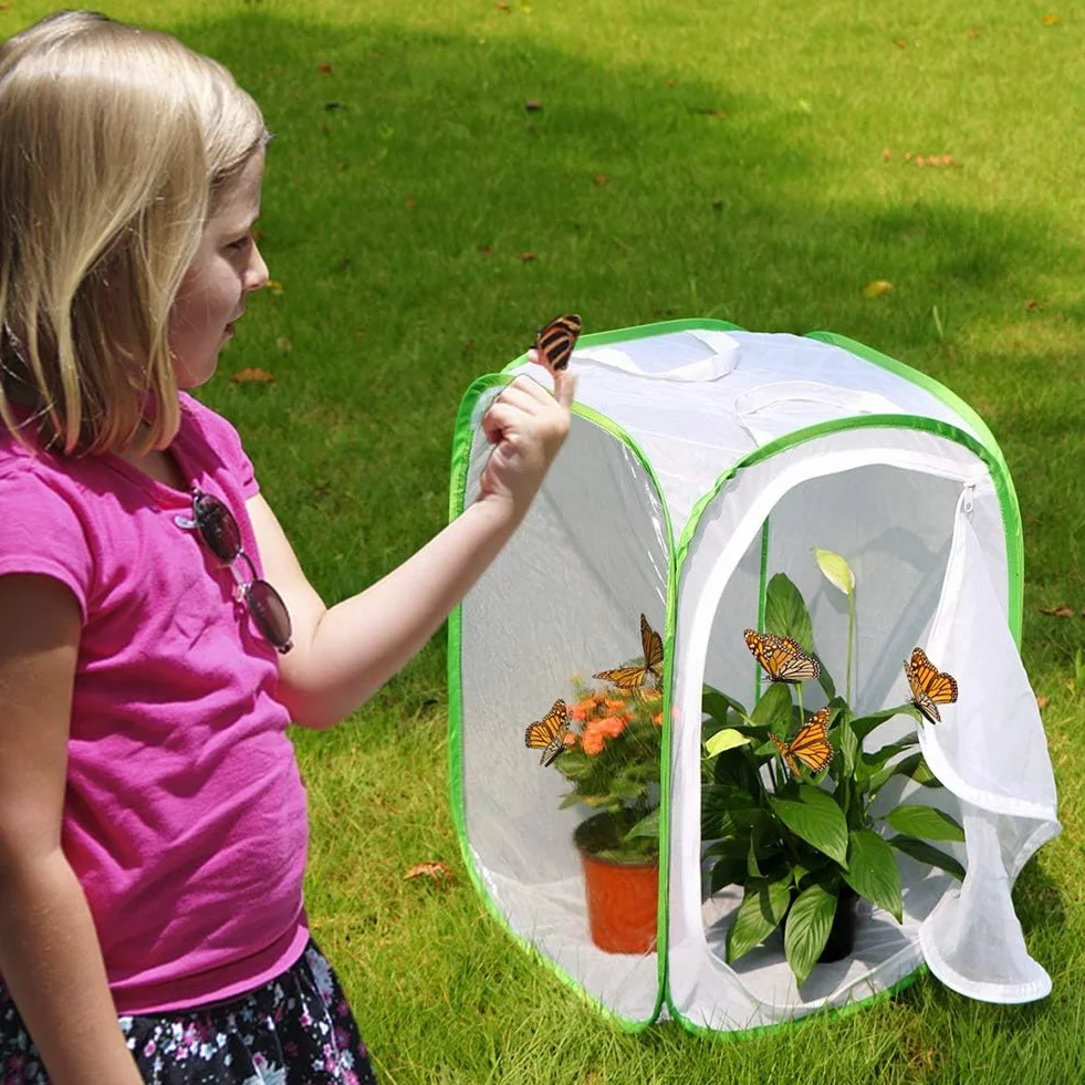 Lot de 2 cages d'habitat pour insectes et papillons - 40 x 60 cm