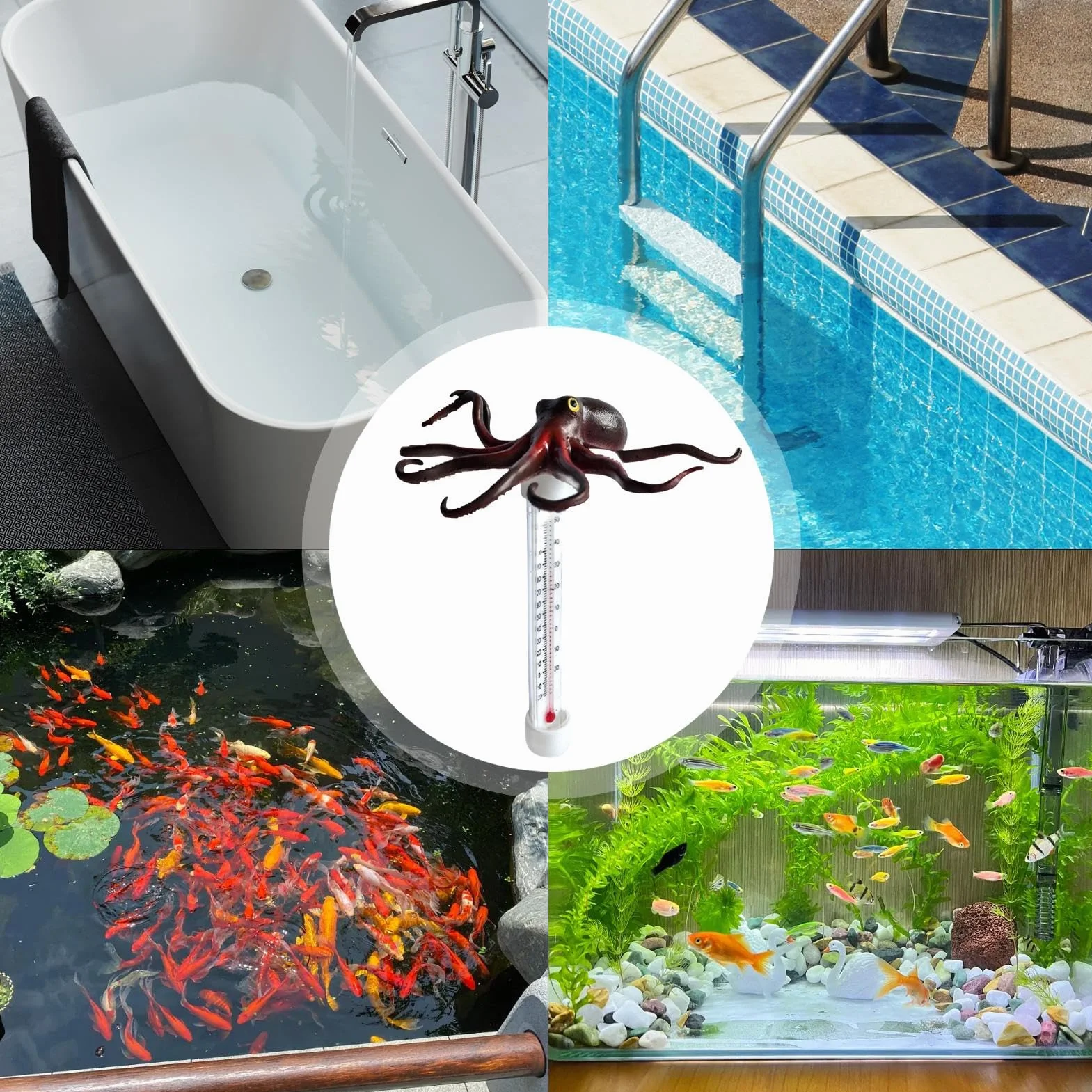 Thermomètre de piscine flottant en forme de pieuvre avec échelle