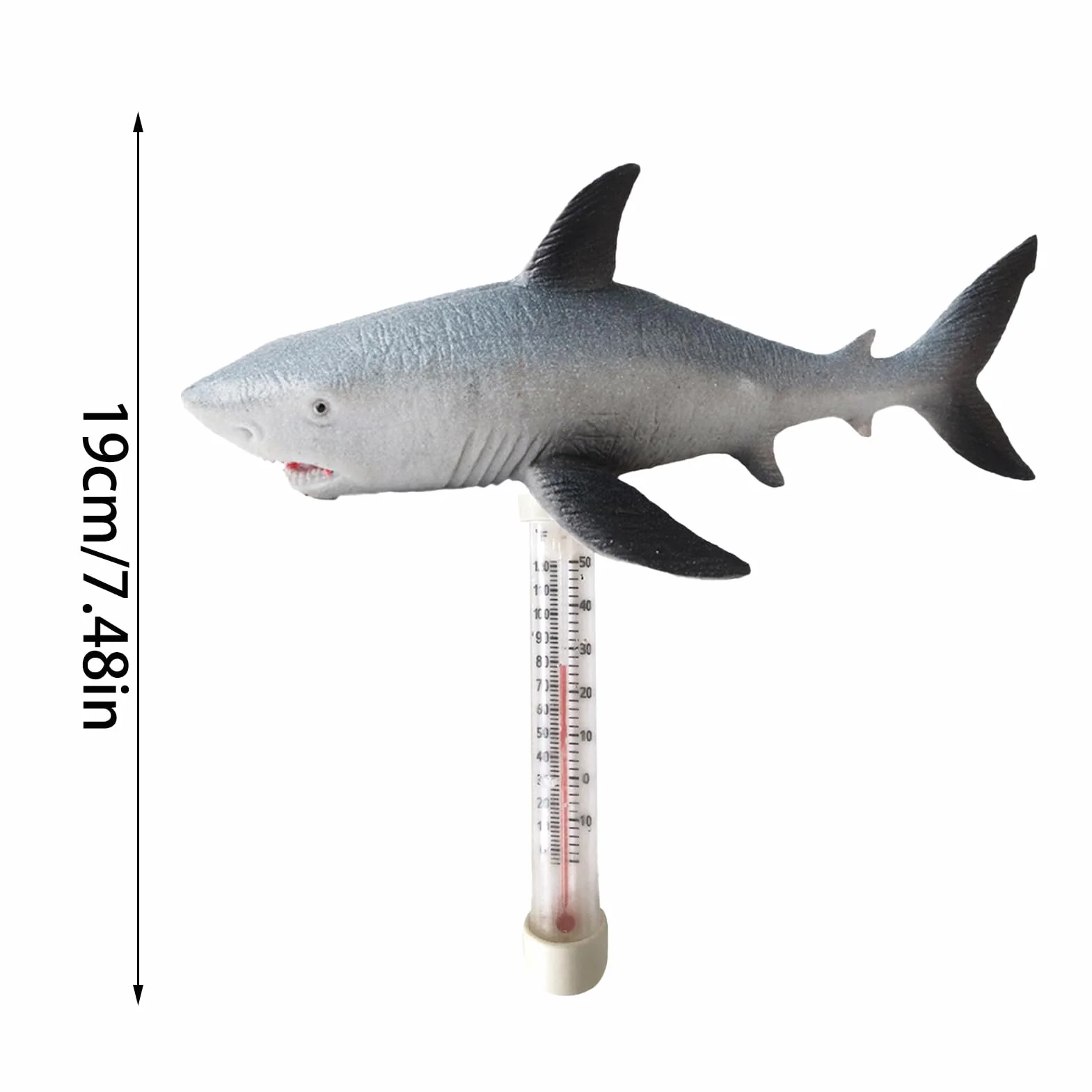 Thermomètre Flottant pour Piscine avec Cordon Intérieur Extérieur