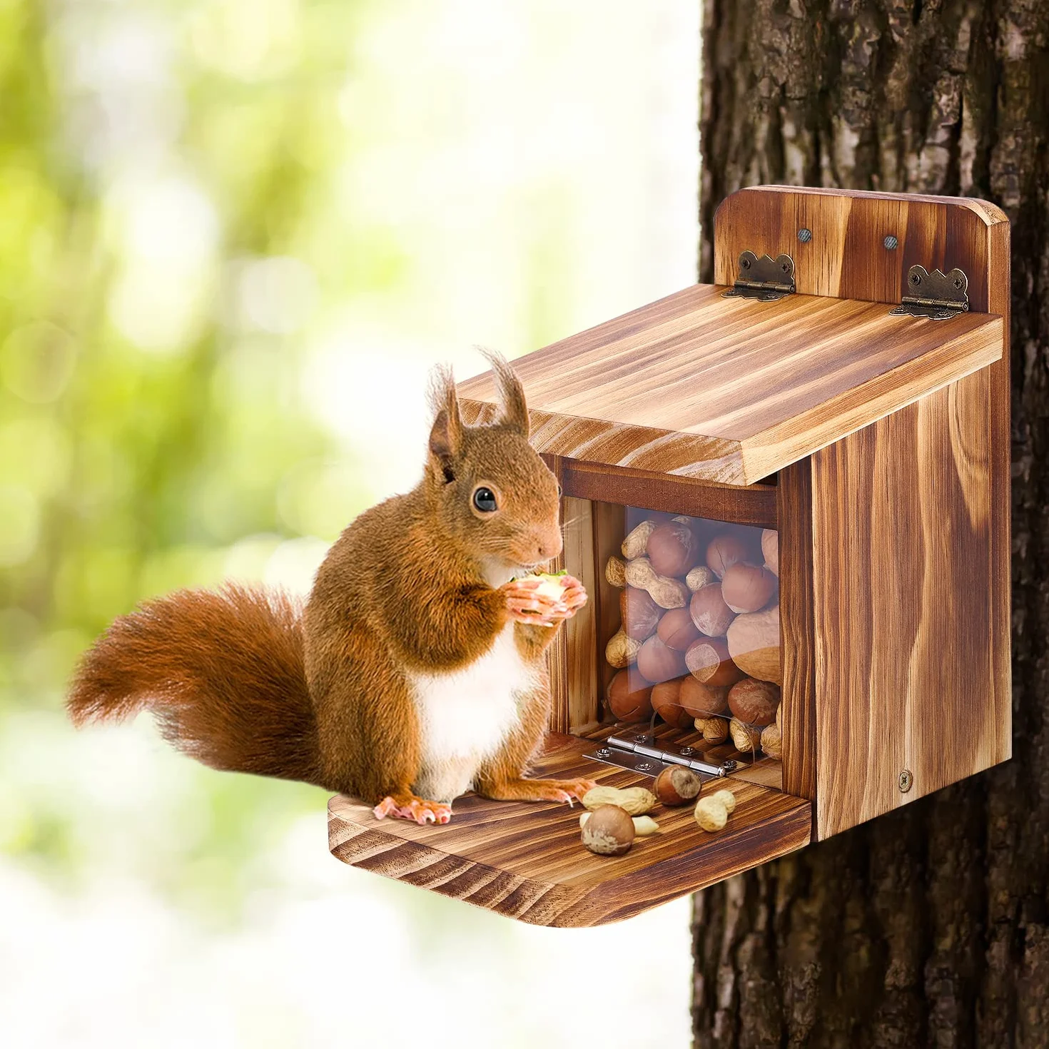 MIXXIDEA Mangeoire en bois pour écureuils 1,5 cm pour jardin