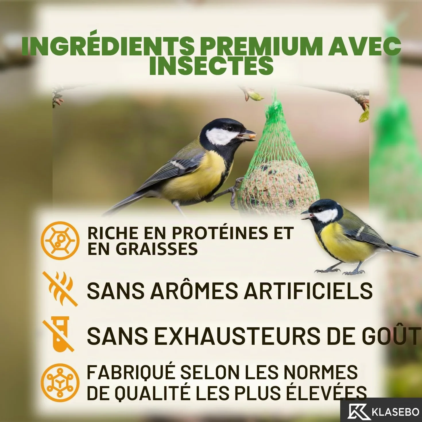 KLASEBO Boules de Graisse Oiseaux avec Insectes 100 x 90 g