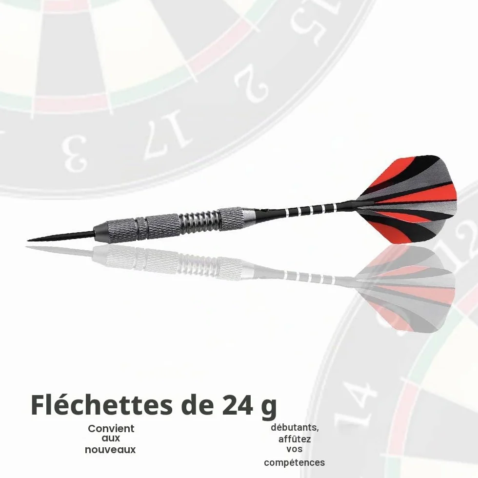 Lot de 12 Fléchettes Pointe Acier, Jeu de Fléchettes Professionnelles de 24g avec 20 ailettes (4 Styles) + 12 tiges en Aluminium, Accessoires pour Flechettes Professionnel