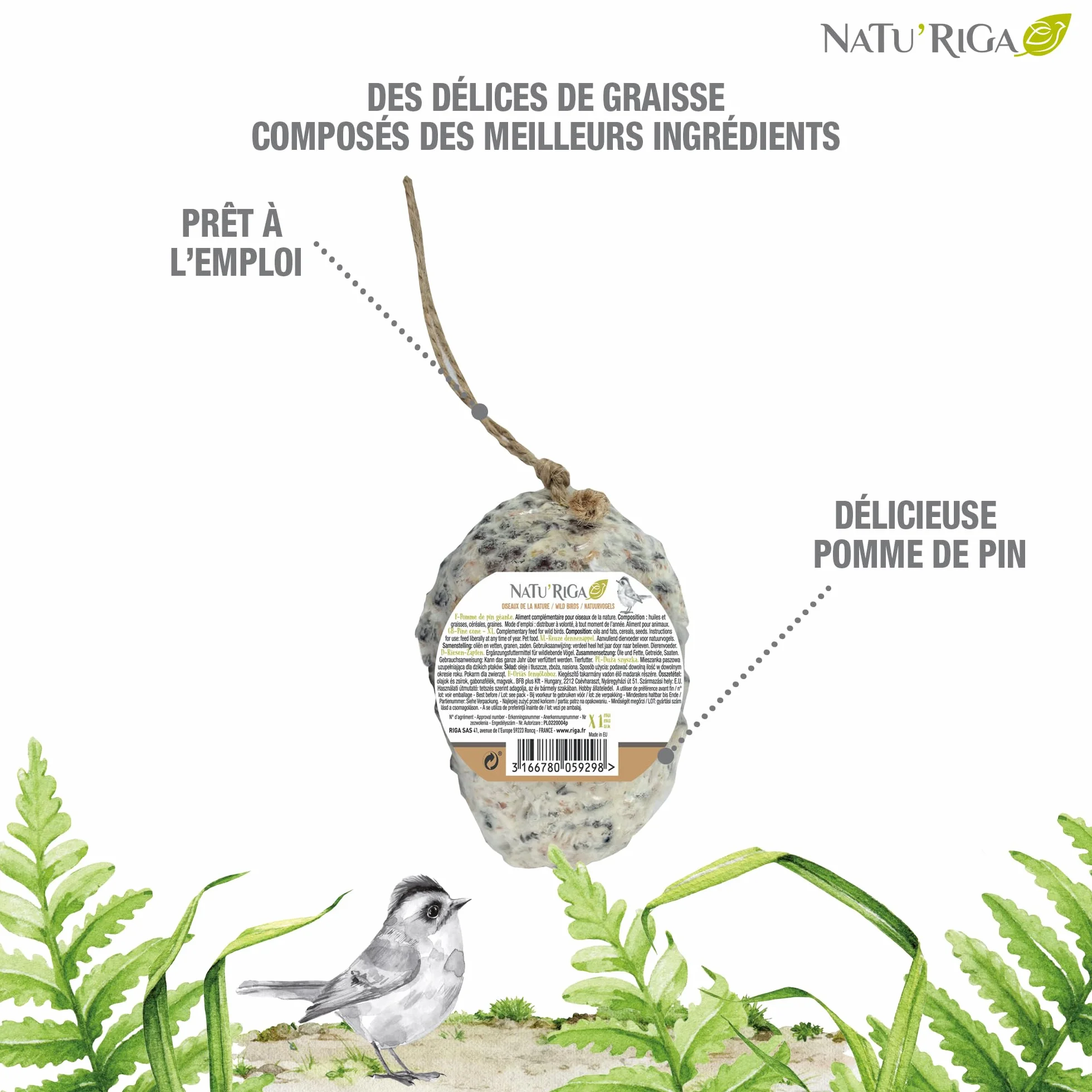 NATU'RIGA Pomme De Pin Géante Nourriture Oiseaux Extérieur 350G