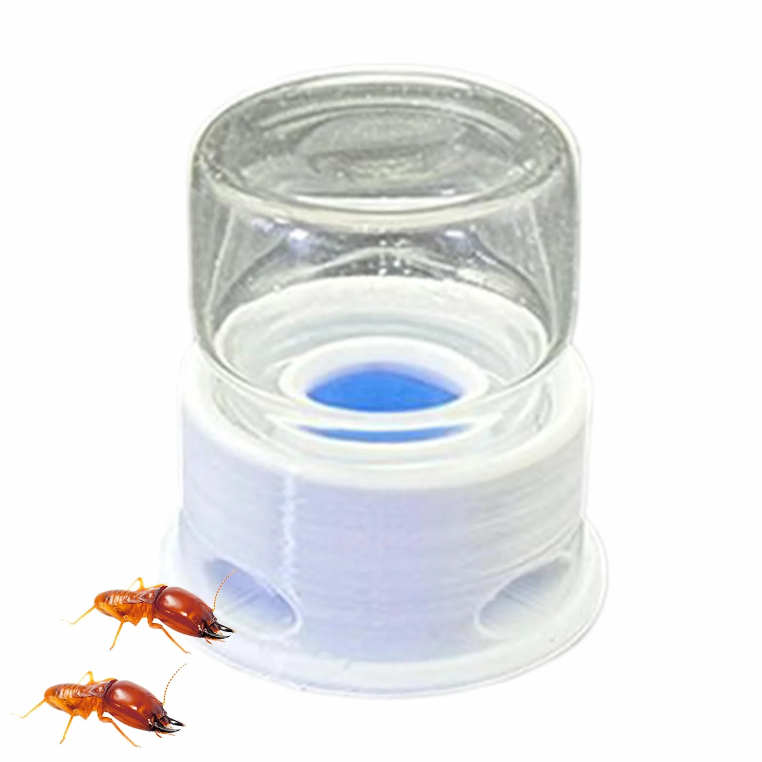 Distributeur pour Fourmis, Fontaine À Eau pour Abeilles, Distributeur À Boisson Transparent Multifonction