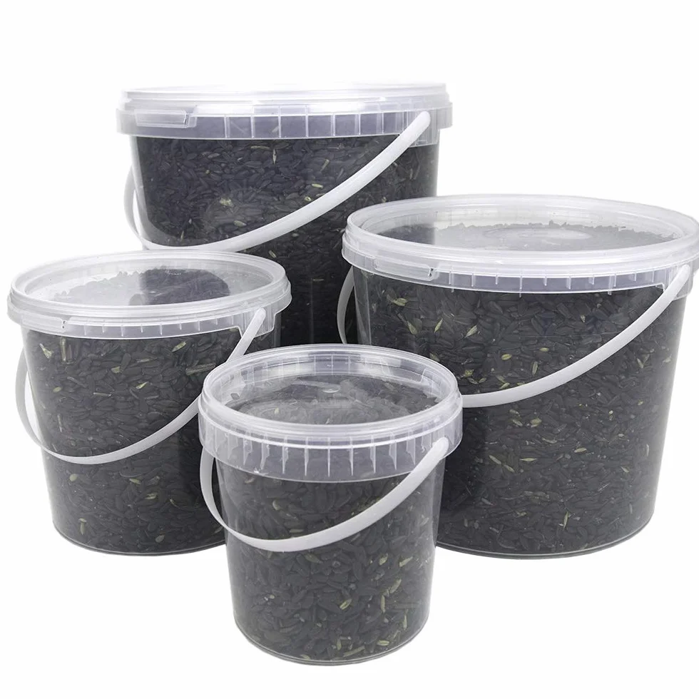SQUAWK Graines de Tournesol Noir Nourriture pour Oiseaux Sauvages Riches en Huile 1L