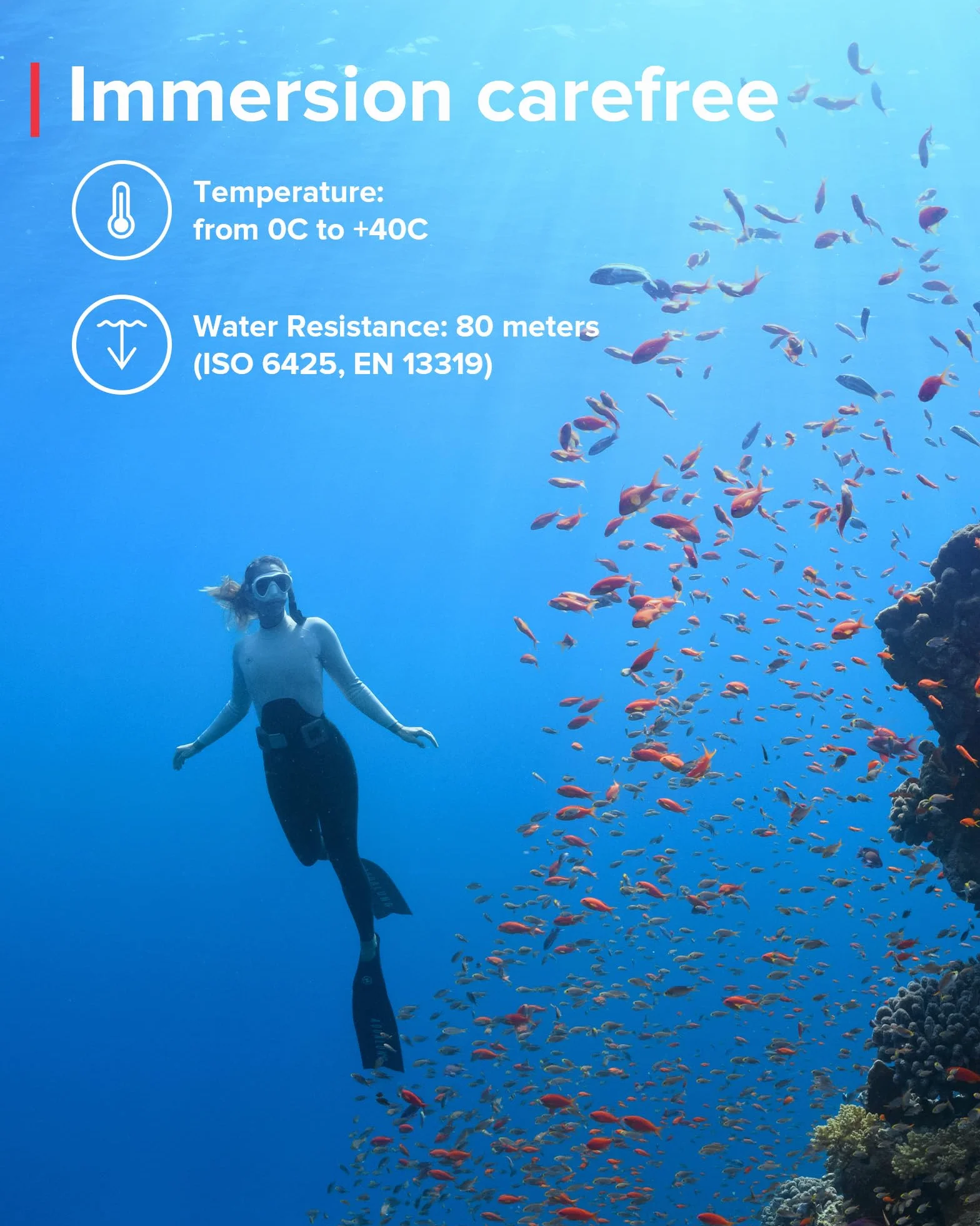 SUUNTO Zoop Novo Wrist Ordinateur de plongée sans USB Noir