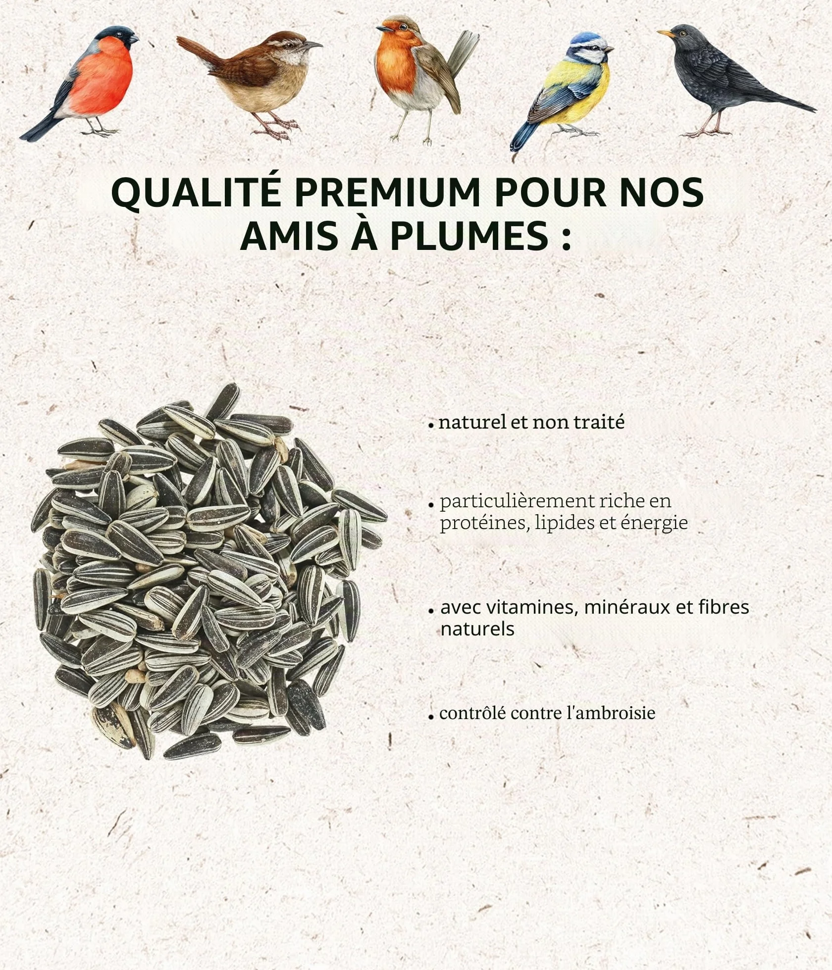 Dehner Natura Premium Nourriture pour Oiseaux Sauvages, Graines de Tournesol Non décortiquées, Seau 5L