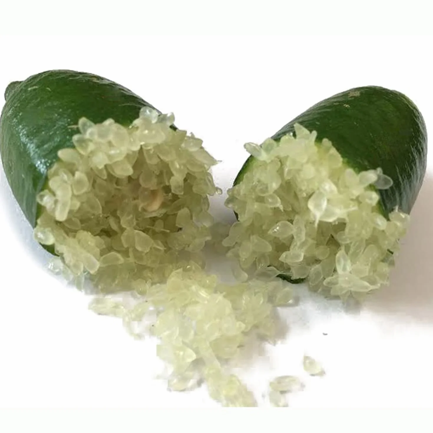 SAVINI VIVAI Citronnier Caviar Vert Faustrime Agrume Tilleul 20 cm Hauteur 50-70 cm 2 Ans de Greffe