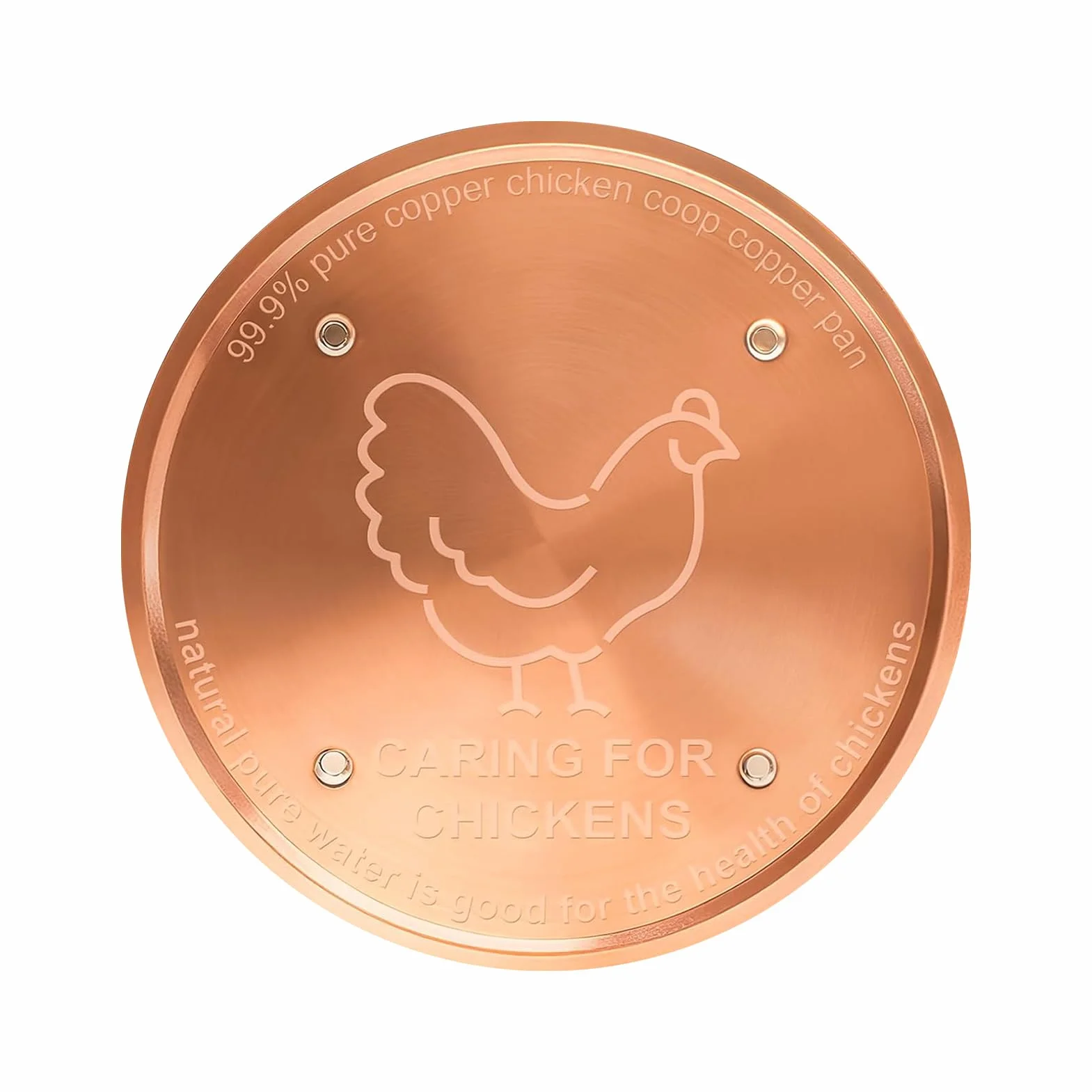 Disque pour Bain d'oiseaux 10 cm Purification d'eau Nettoyage Métal Bol Élevage Volaille