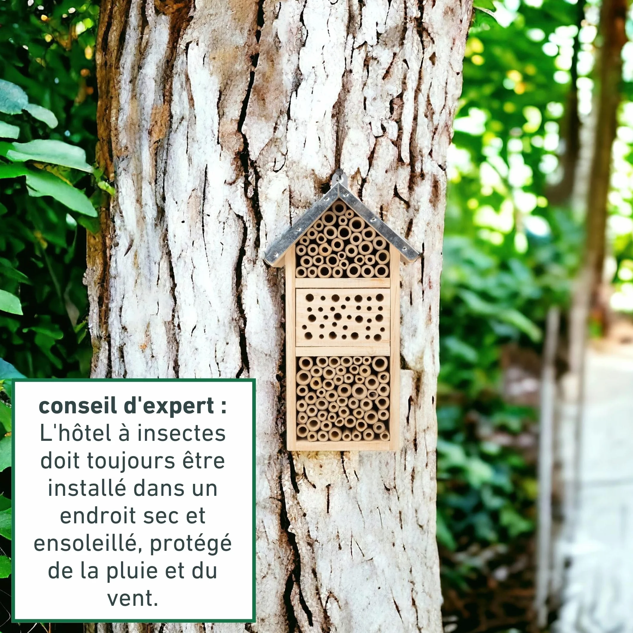Windhager Hôtel à Insectes Tiny Bois Bambou Abri Abeilles Nichoir Suspendre