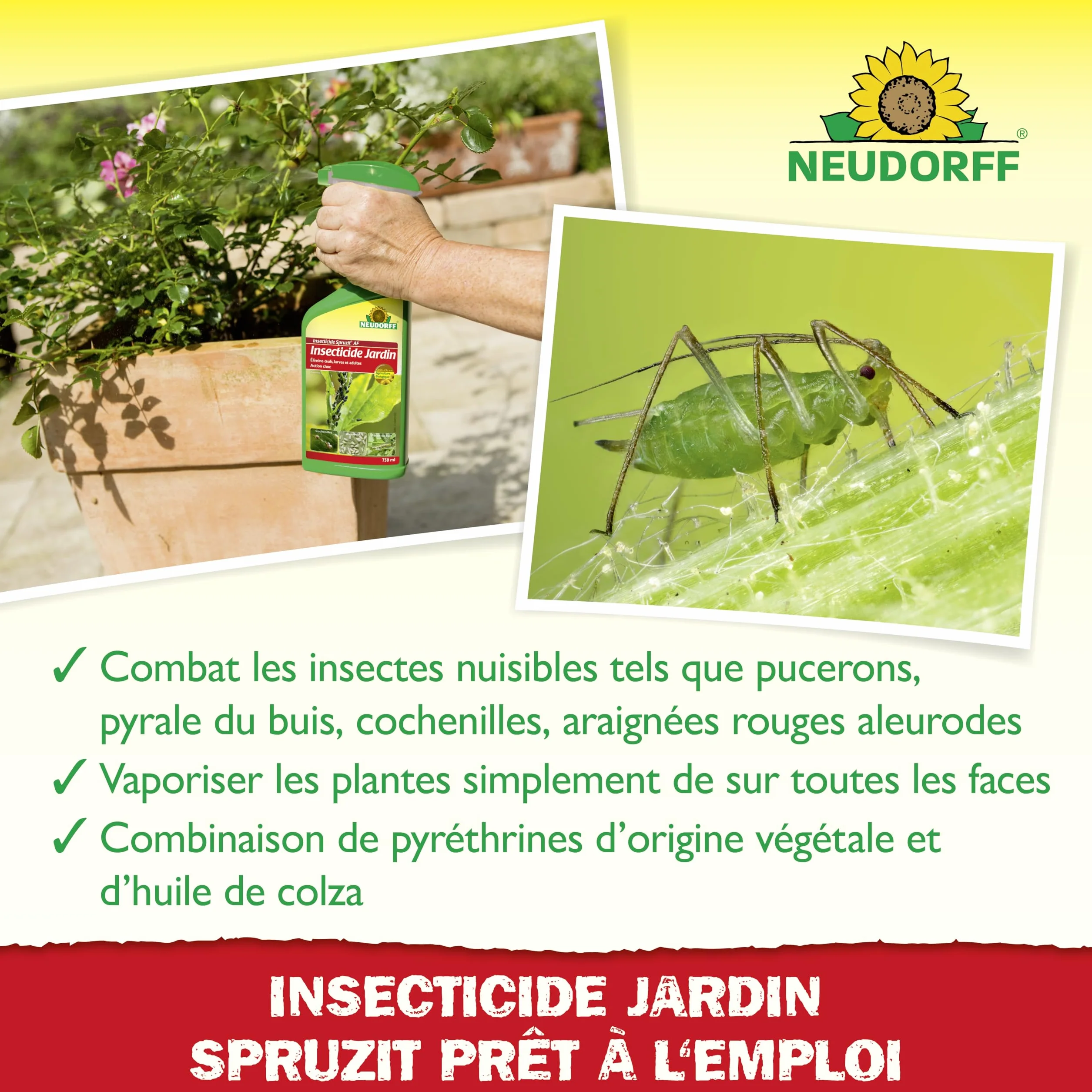 Neudorff Spruzit Insecticide Jardin 750 ml - Prêt à l'emploi contre pucerons, cochenilles et ravageurs