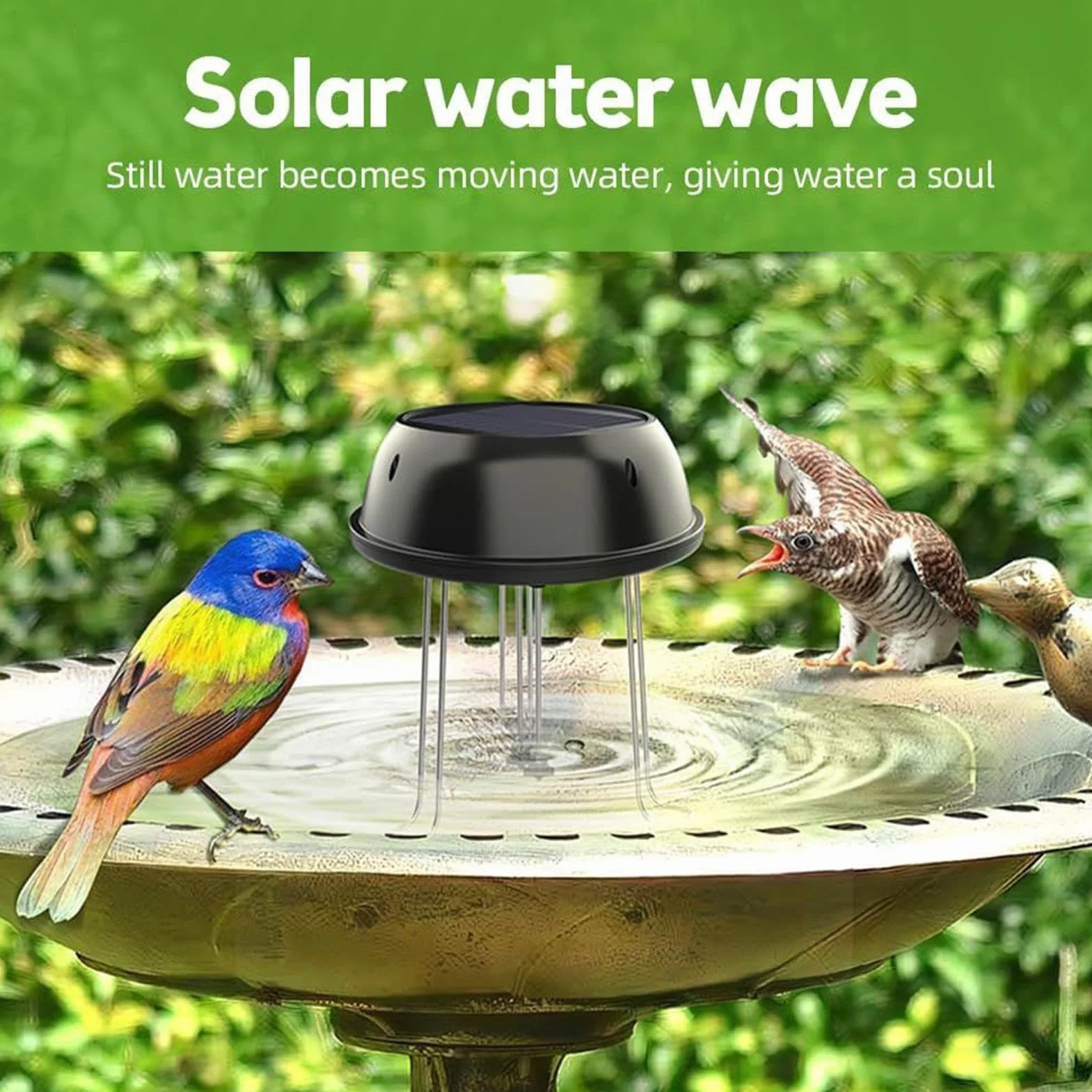 Pompe de circulation d'eau solaire 0.5 W pour bain d'oiseaux, décoration d'étang de jardin