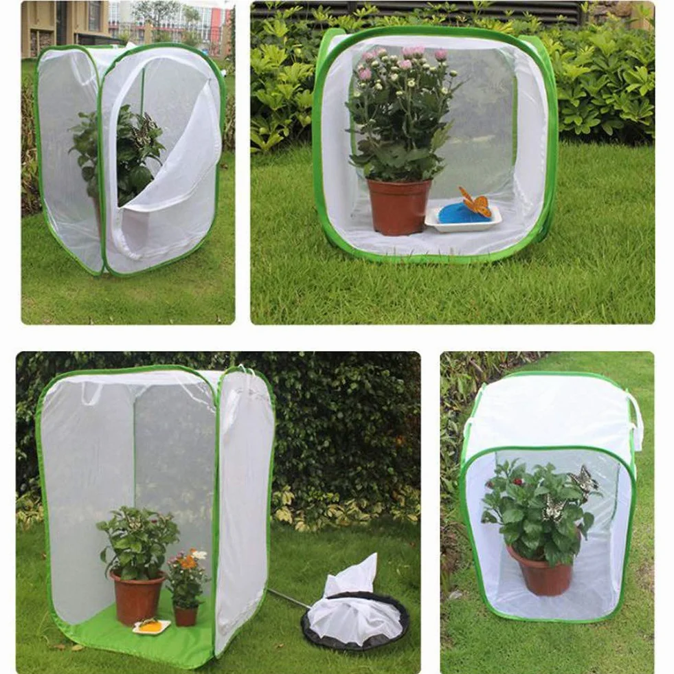 Insecte Élevage Cage Papillon Habitat PVC Transparent Pliable Amovible Blanc Filet Serre Tente pour Élevage Insectes Extérieur