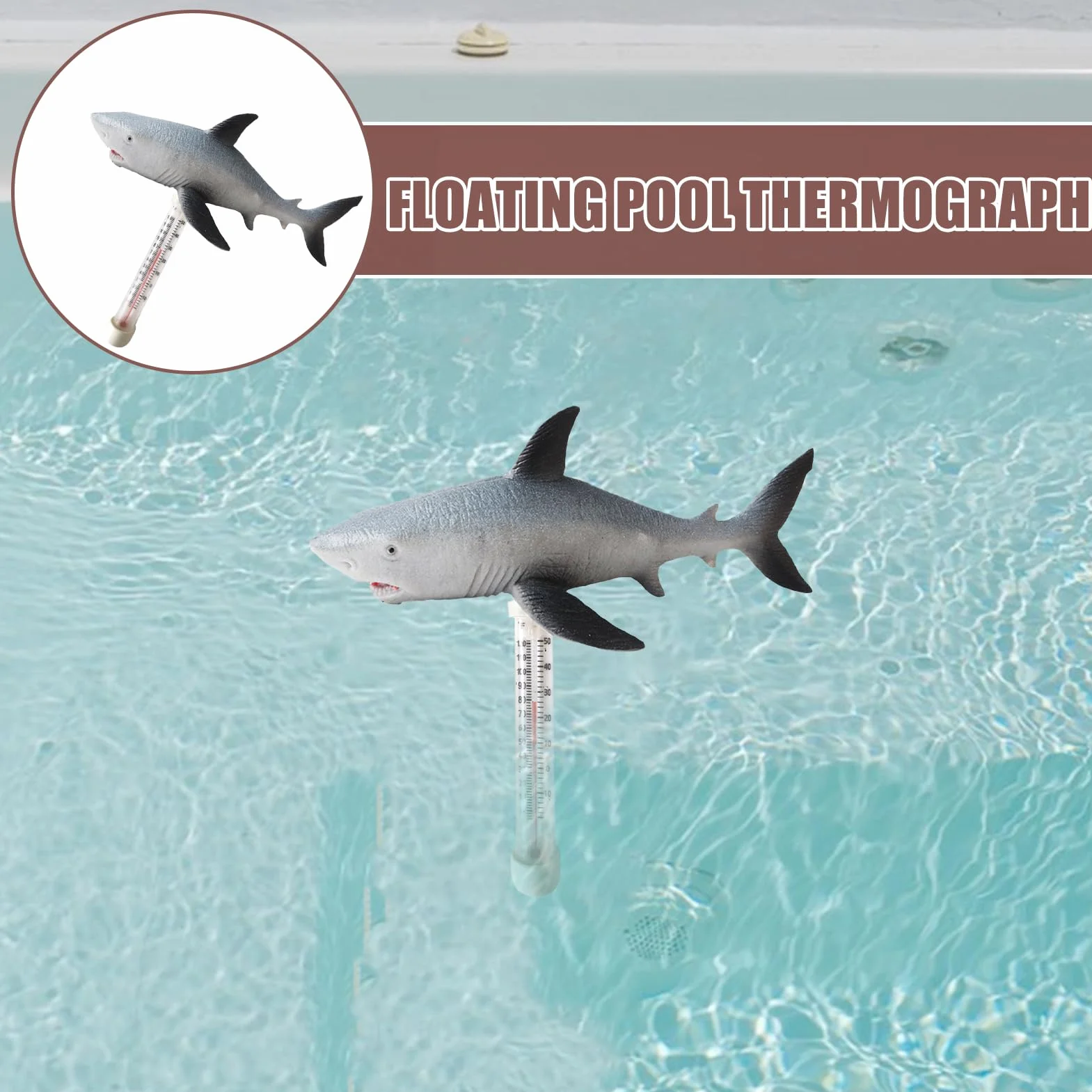 Thermomètre Flottant pour Piscine avec Cordon Intérieur Extérieur
