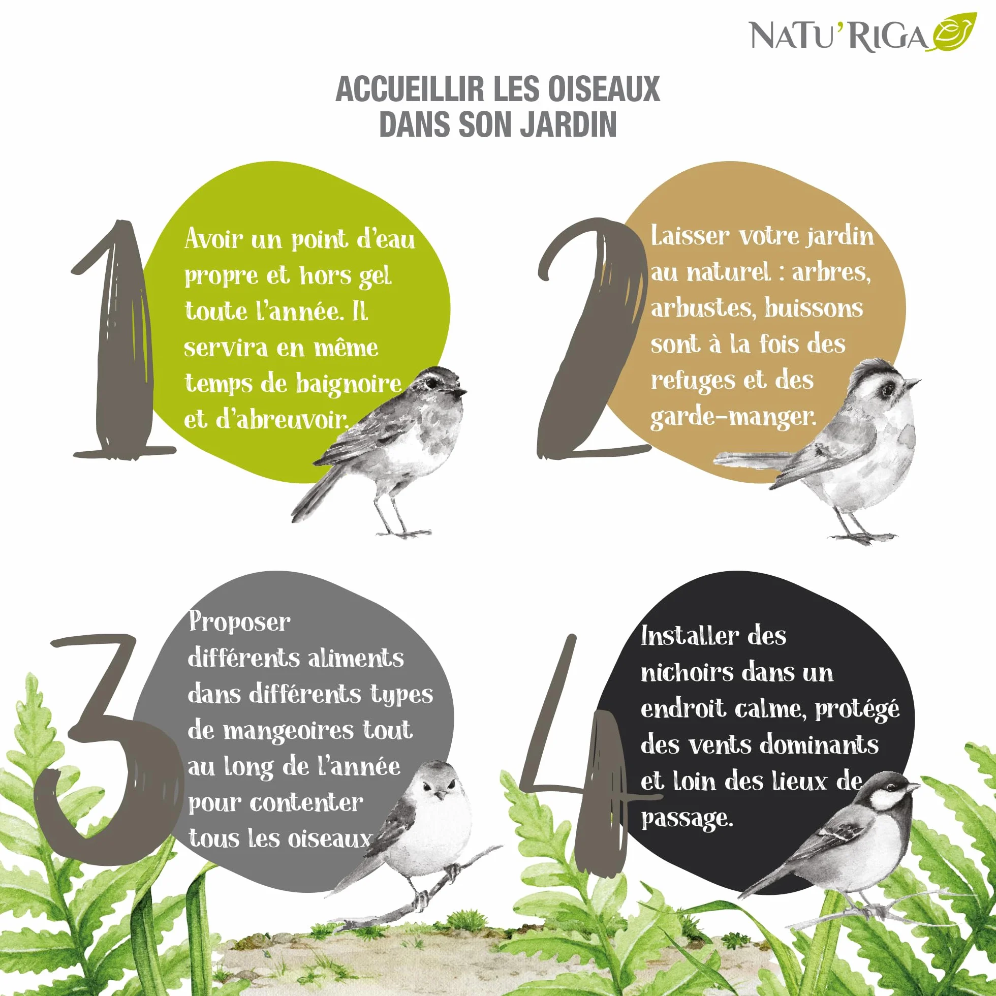 NATU'RIGA Pain De Graisse Aux Graines Et Insectes Nourriture Oiseaux Extérieur 300G