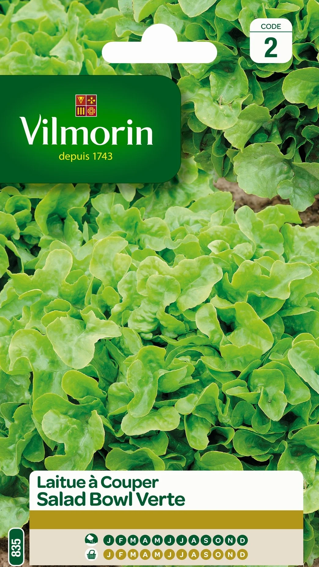 Vilmorin Pack de Graines Laitue à Couper Salade Bol Vert