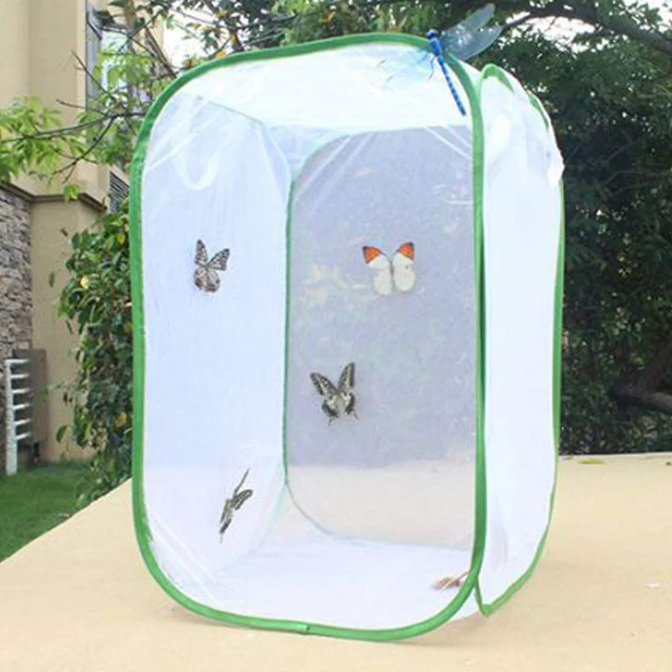 Insecte Élevage Cage Papillon Habitat PVC Transparent Pliable Amovible Blanc Filet Serre Tente pour Élevage Insectes Extérieur