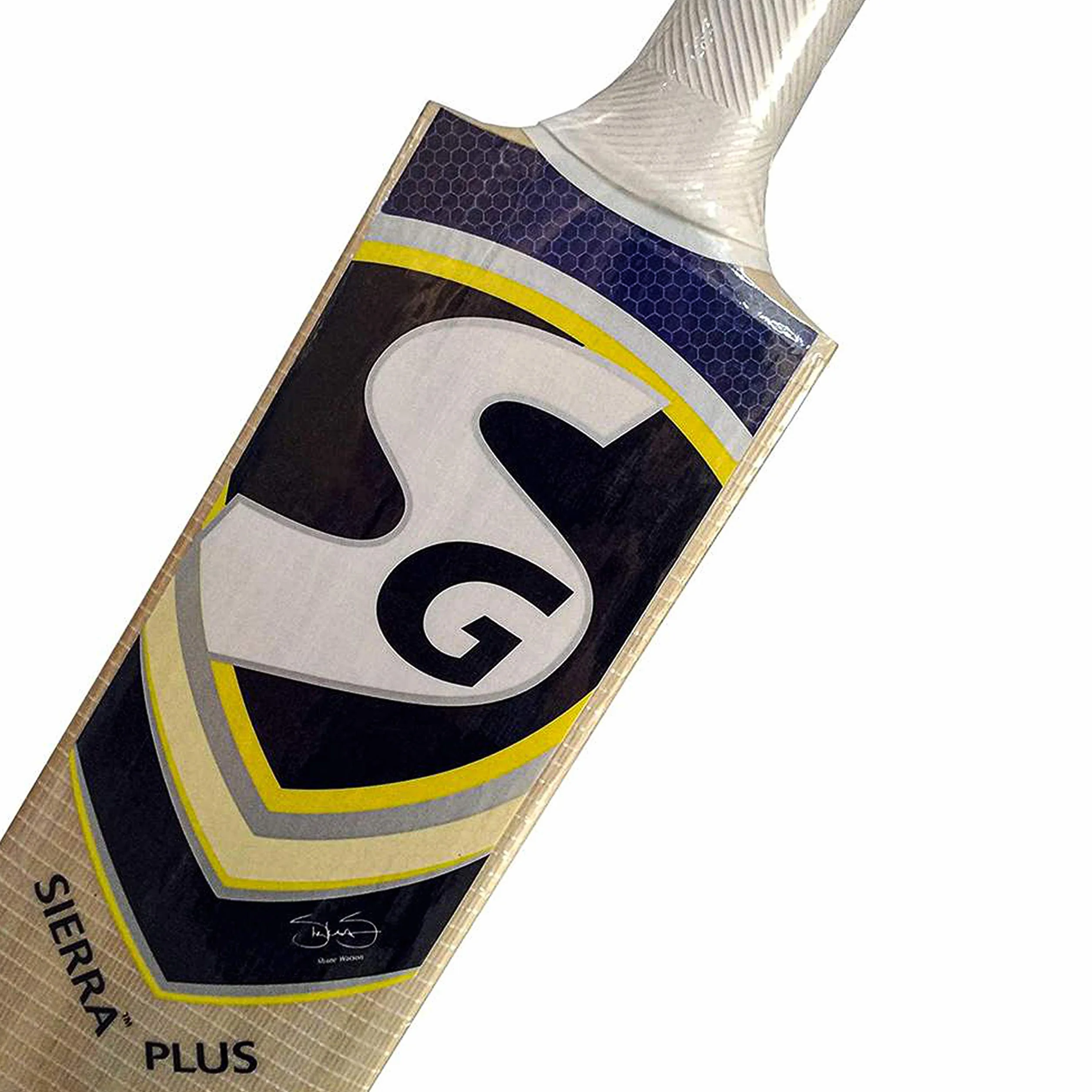 SG Sierra Plus Kashmir Willow Batte de cricket