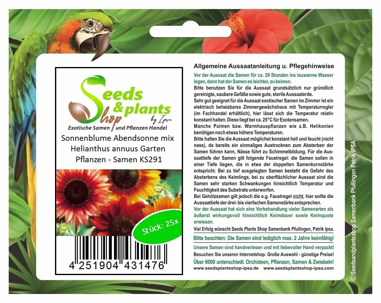Tournesol Soleil Du Soir Mix Helianthus Annuus Graines 25x Jardin