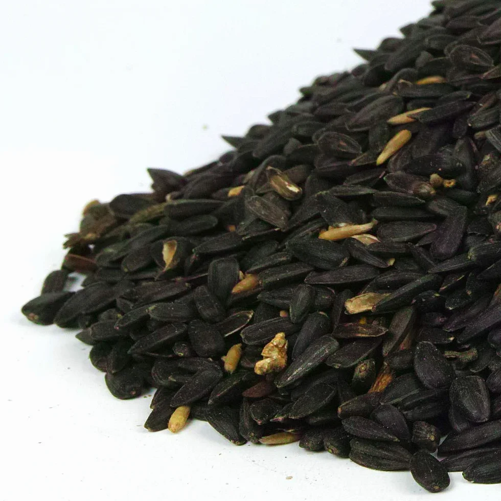 SQUAWK Graines de Tournesol Noir Nourriture pour Oiseaux Sauvages Riches en Huile 1L