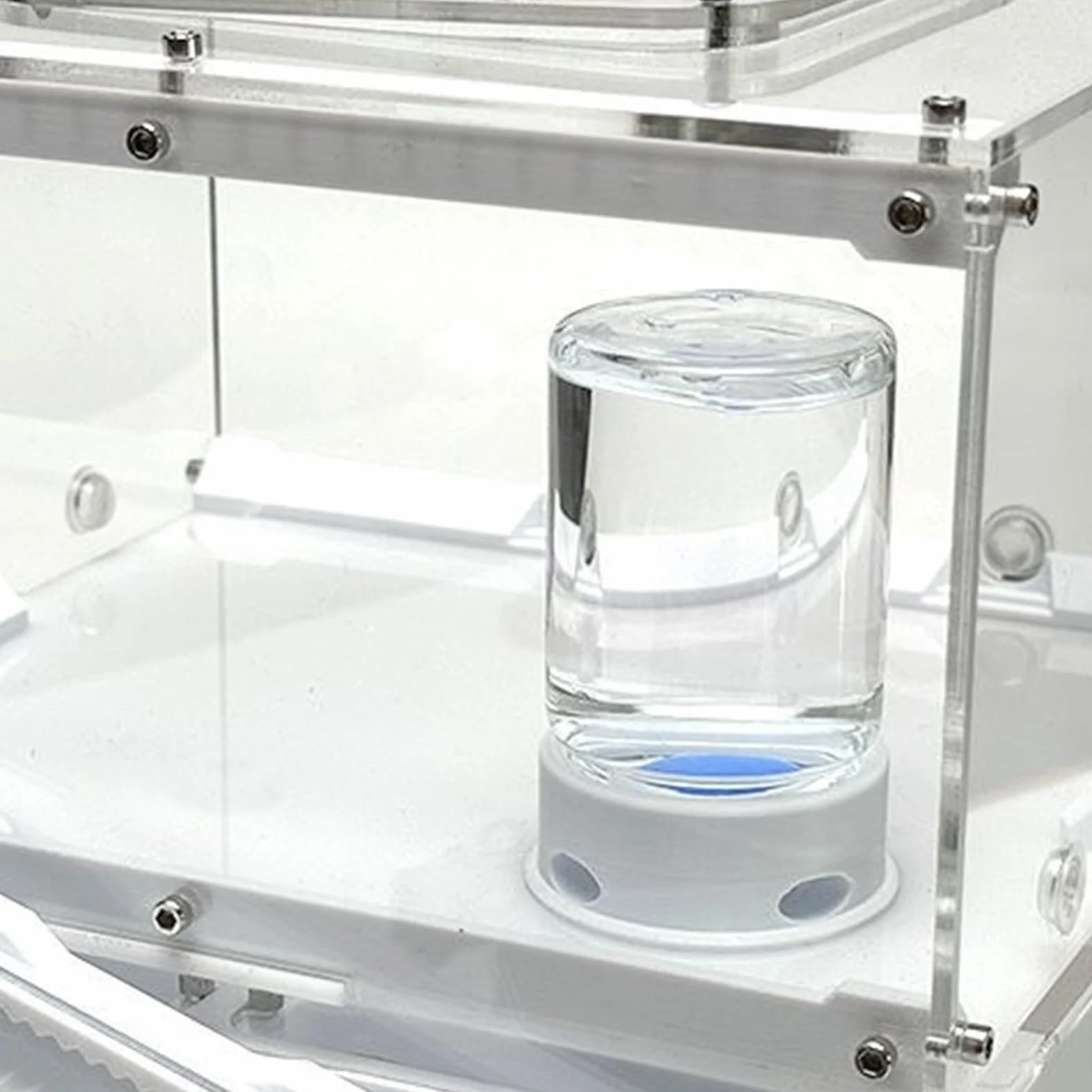 Distributeur pour Fourmis, Fontaine À Eau pour Abeilles, Distributeur À Boisson Transparent Multifonction