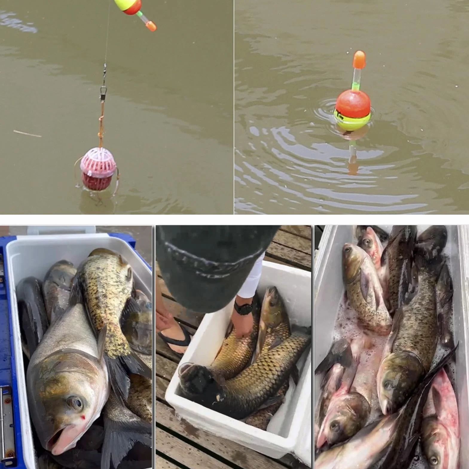 Canne à Pêche Enfant Moulinet Combo Télescopique Eau Douce Salée
