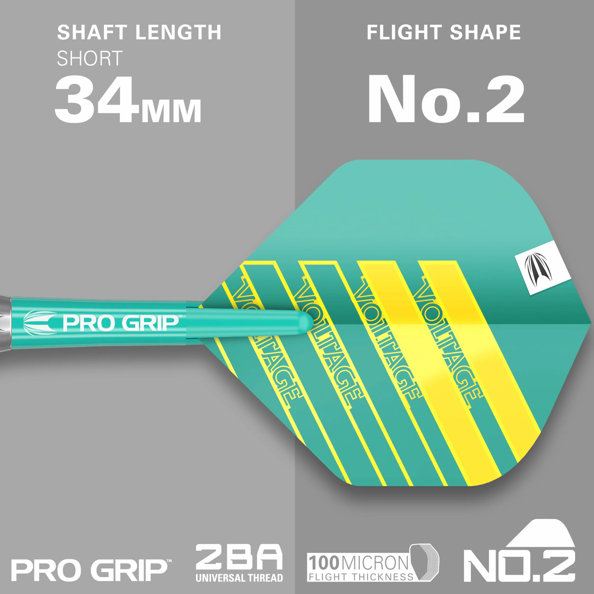 Target Darts Rob Cross 18G Set de fléchettes à Pointe Souple en Laiton