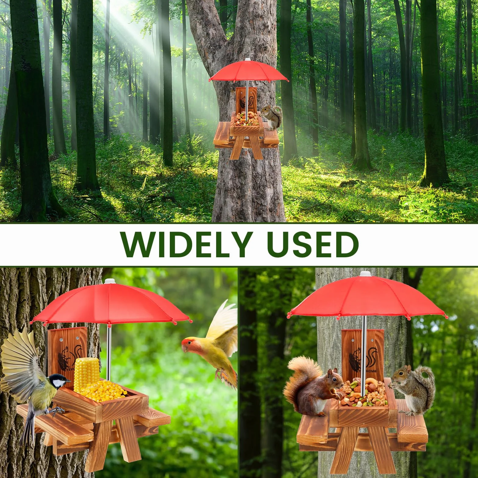 Mangeoire à écureuil en Bois avec Parapluie, Table de Pique-Nique Extérieur Solide