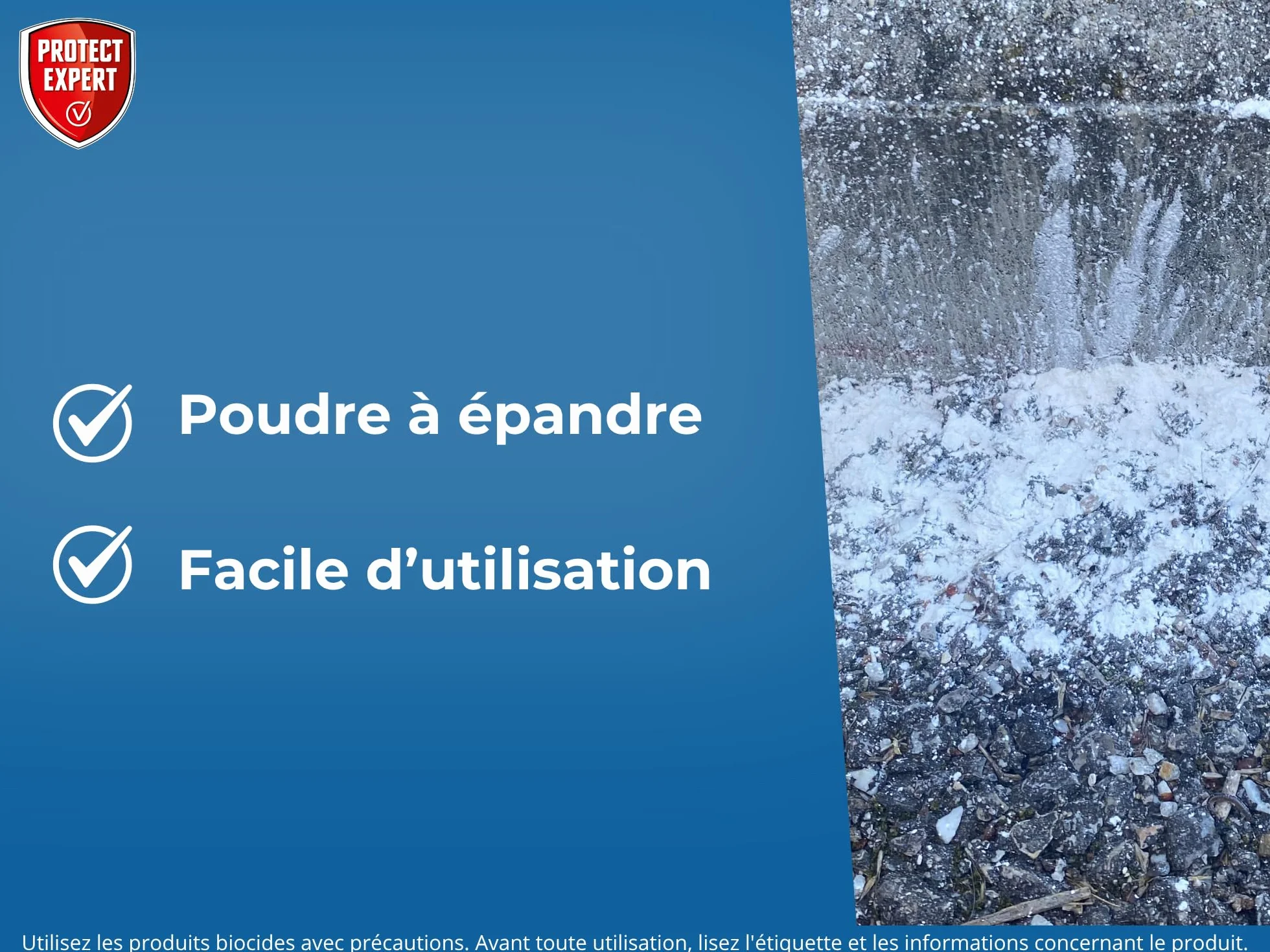 Protect Expert Poudre Anti-Fourmis Insecticide 250g Traite jusqu'à 75m2 Action Choc Longue Durée