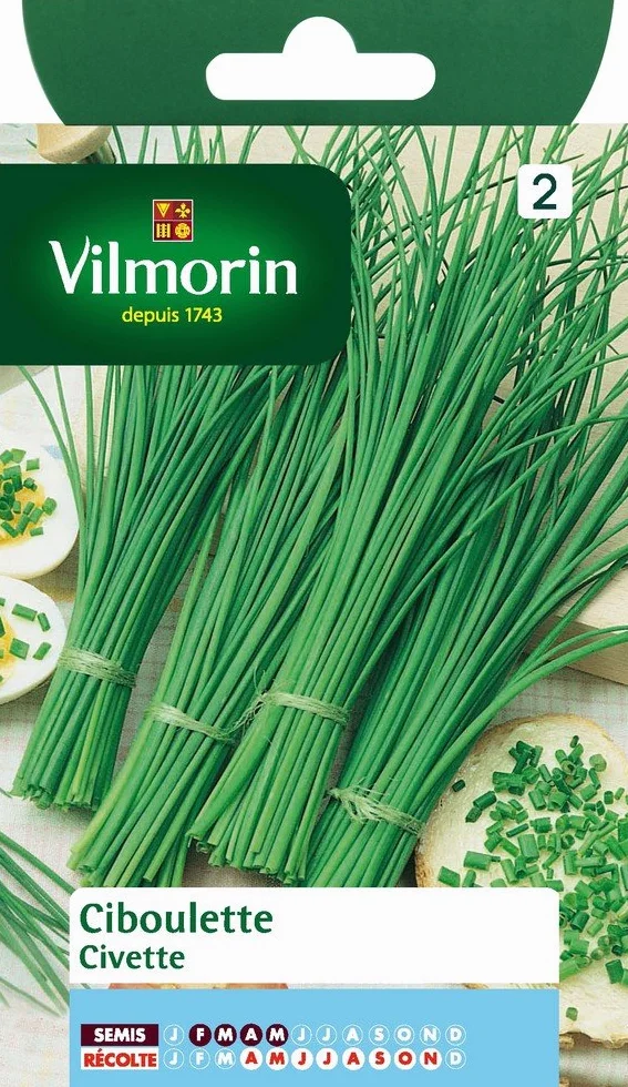 Vilmorin Pack de Graines Ciboulette Très Fine Danoise