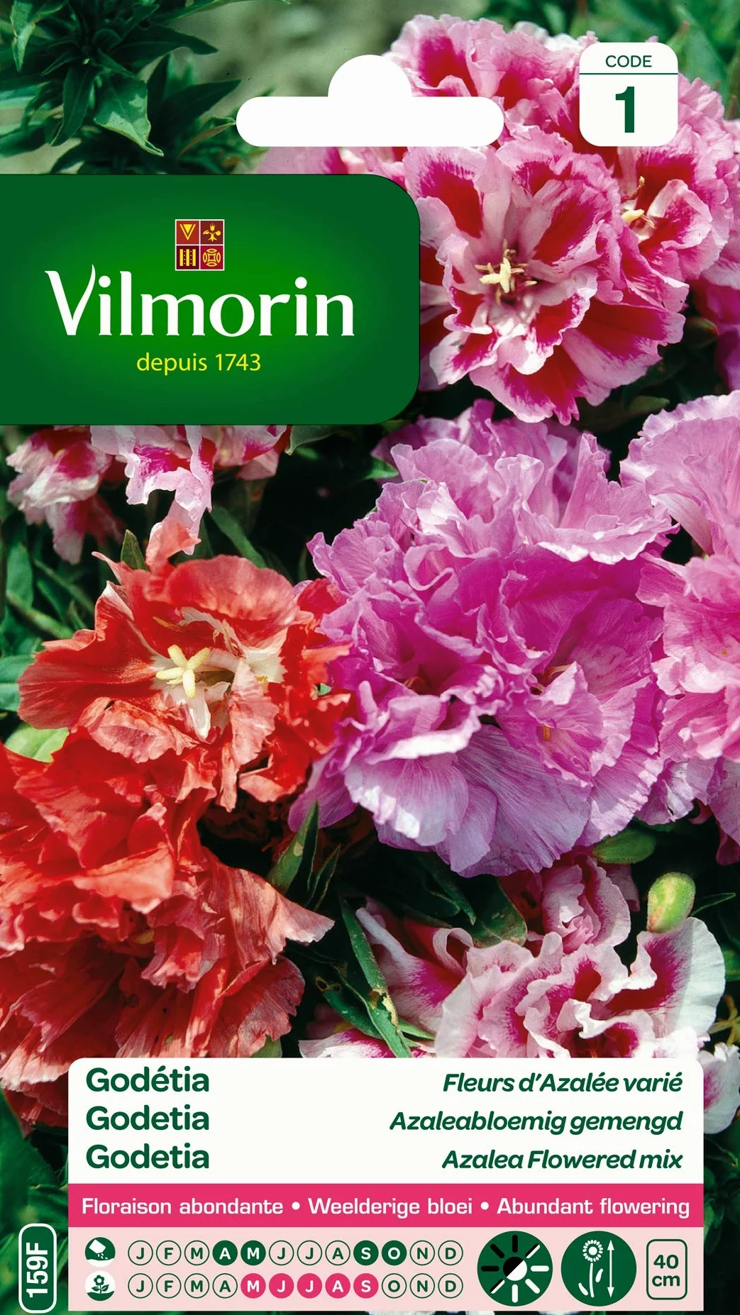 Vilmorin Godétia Double à Fleurs d'Azalée en mélange semences fleurs basses 40 cm annuelles