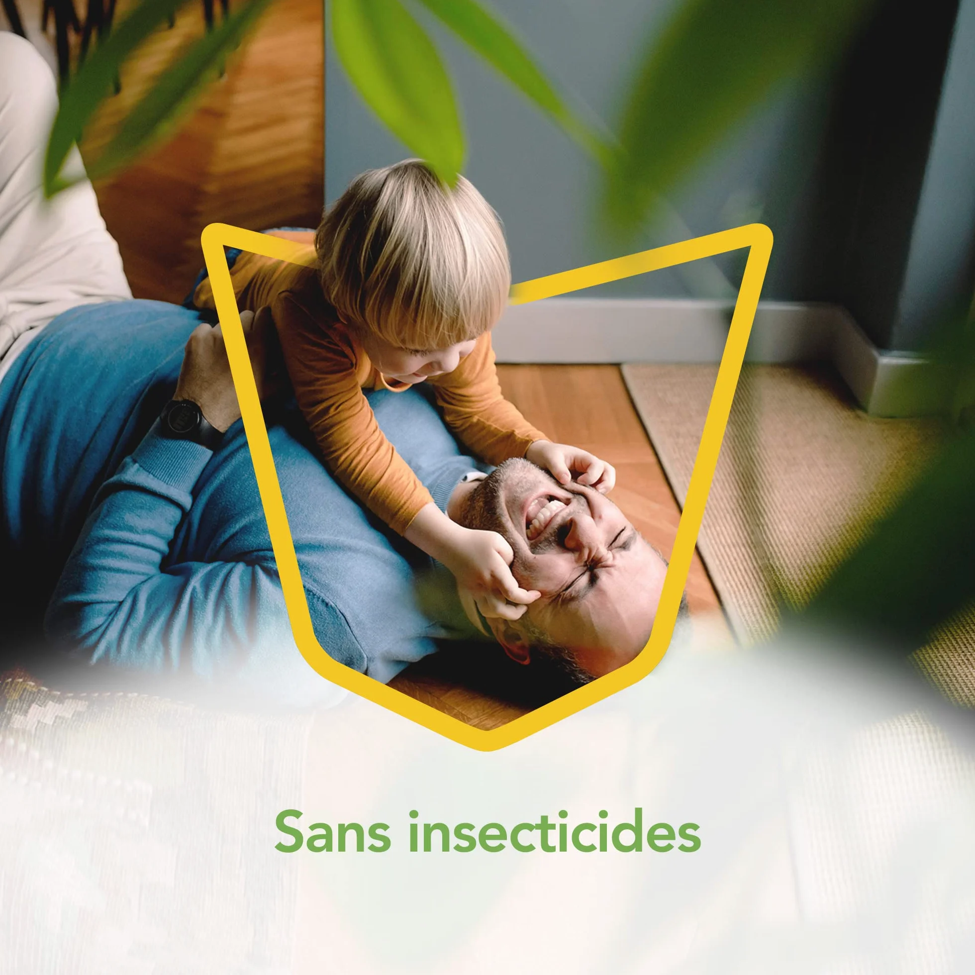 Raid Piège à Mouches Sans Insecticides 6 Pièges Efficacité 6 Mois