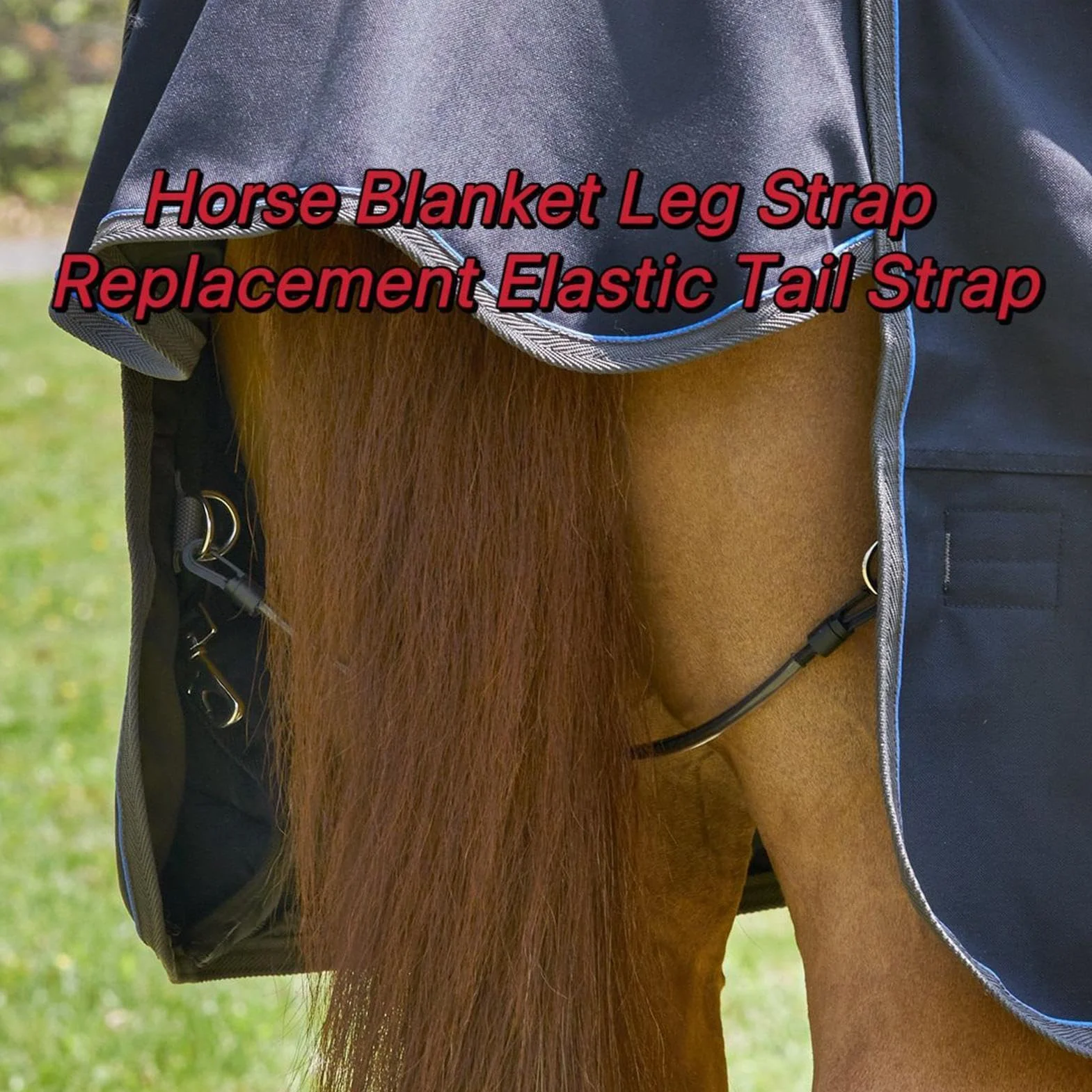 Generisch Sangles de jambe pour couvertures pour chevaux, équipement d'équitation 4 pièces, sangles de seau à chevaux, pour entraîneurs, vétérinaires, pilotes de compétition, stallmanagers, écoles de