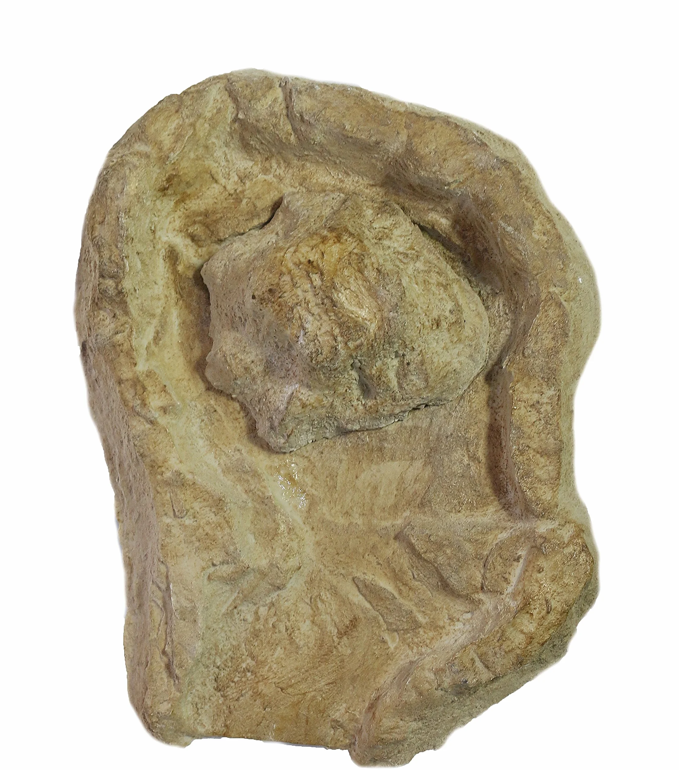 Eder Récipient Source Anti-éclaboussures Beige/Brun 53 x 40 x 8 cm